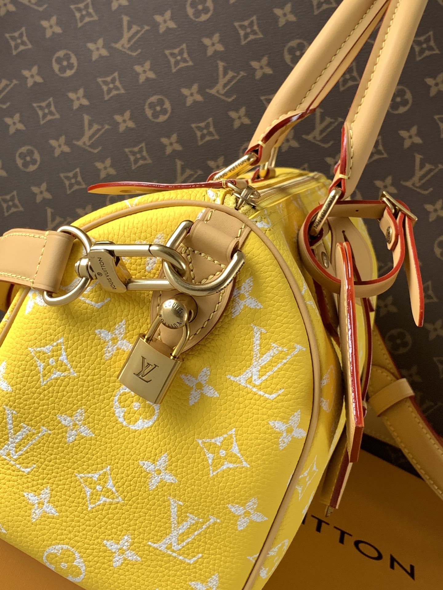 Louis Vuitton Basic Bag Cow Leather Red M-l-s