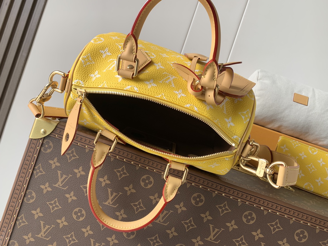 Louis Vuitton Basic Bag Cow Leather Red M-l-s