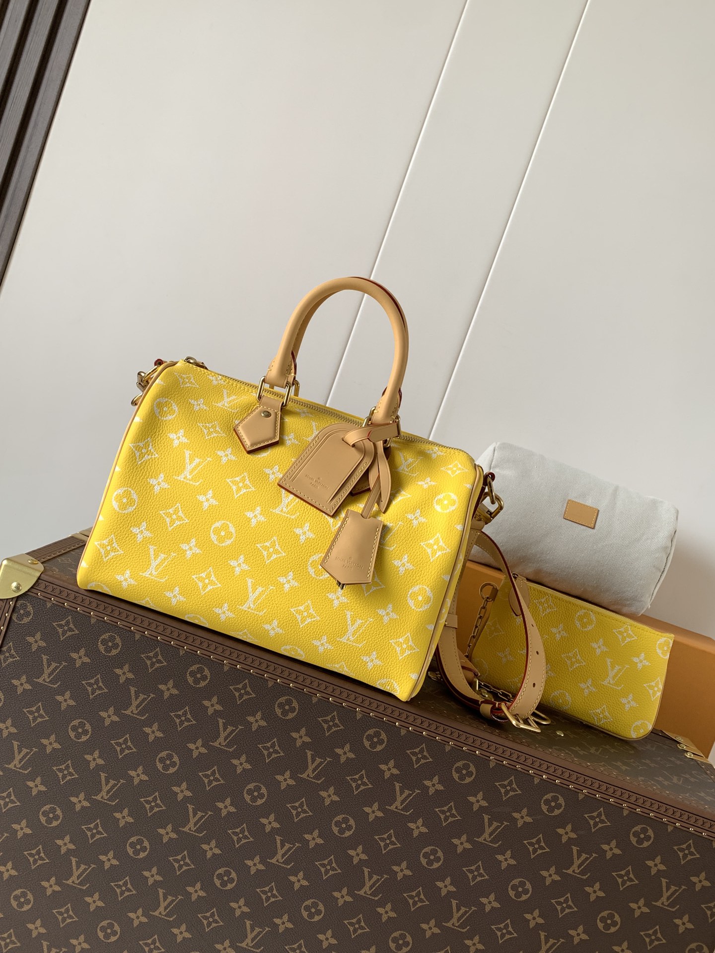 Louis Vuitton Basic Bag Cow Leather Black M-l-s