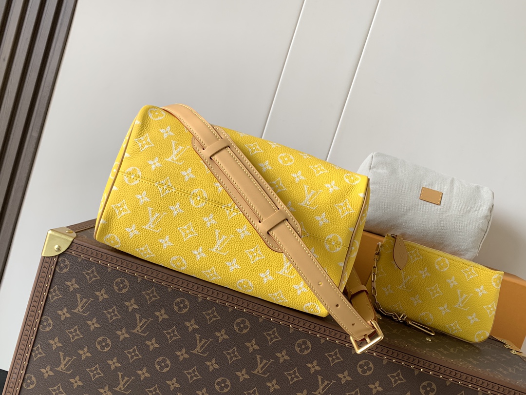 Louis Vuitton Basic Bag Cow Leather Black M-l-s