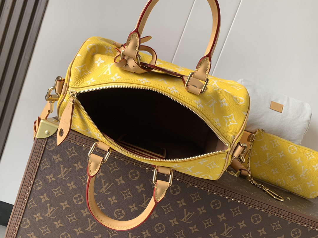 Louis Vuitton Basic Bag Cow Leather Black M-l-s