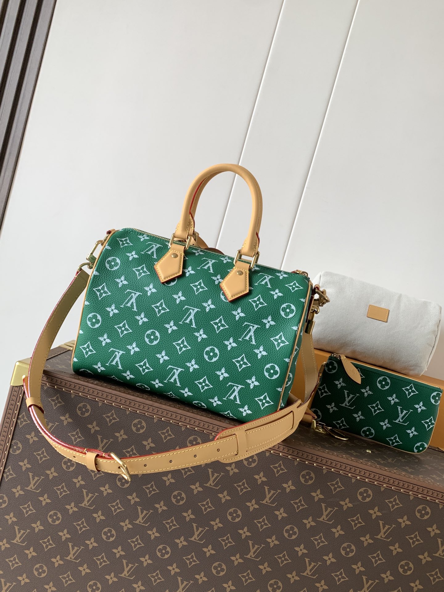 Louis Vuitton Basic Bag Cow Leather Black M-l-s