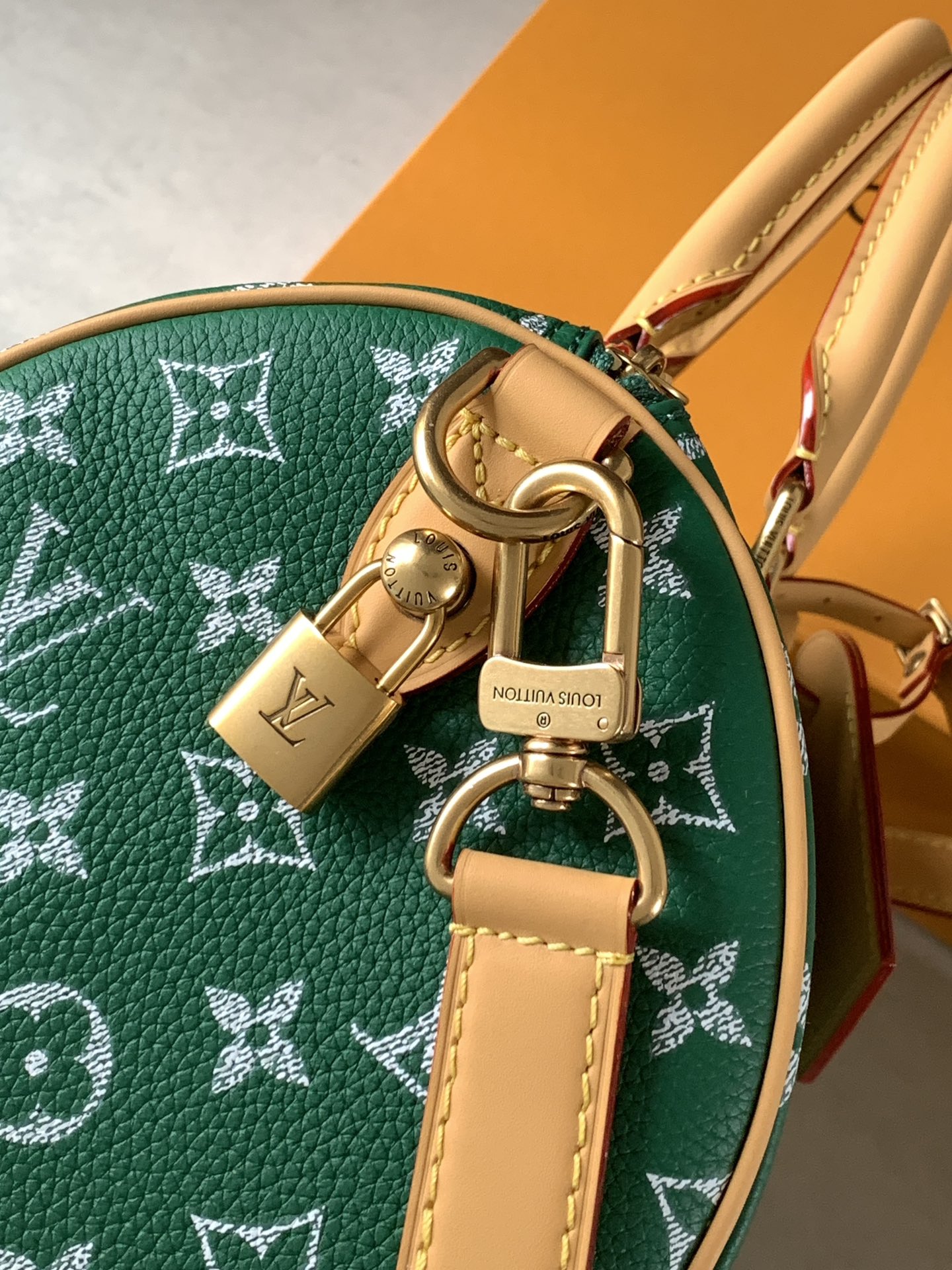 Louis Vuitton Basic Bag Cow Leather Black M-l-s