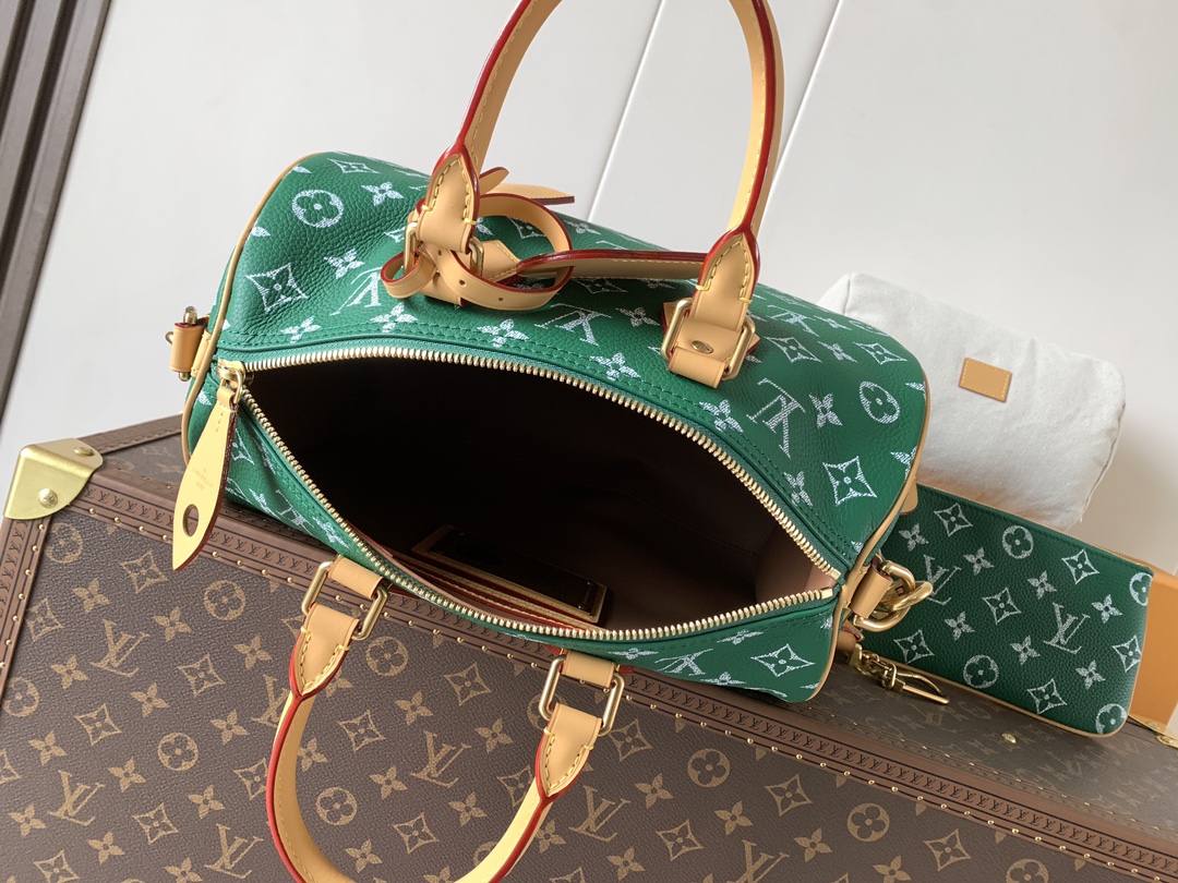 Louis Vuitton Basic Bag Cow Leather Black M-l-s