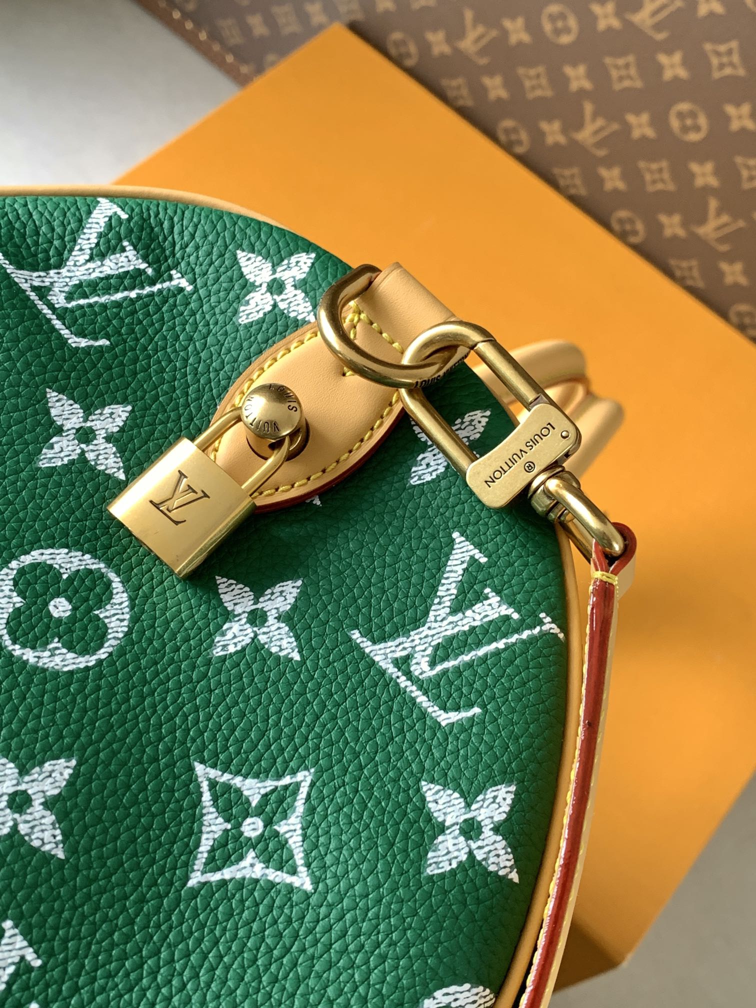 Louis Vuitton Basic Bag Cow Leather Green M-l-s