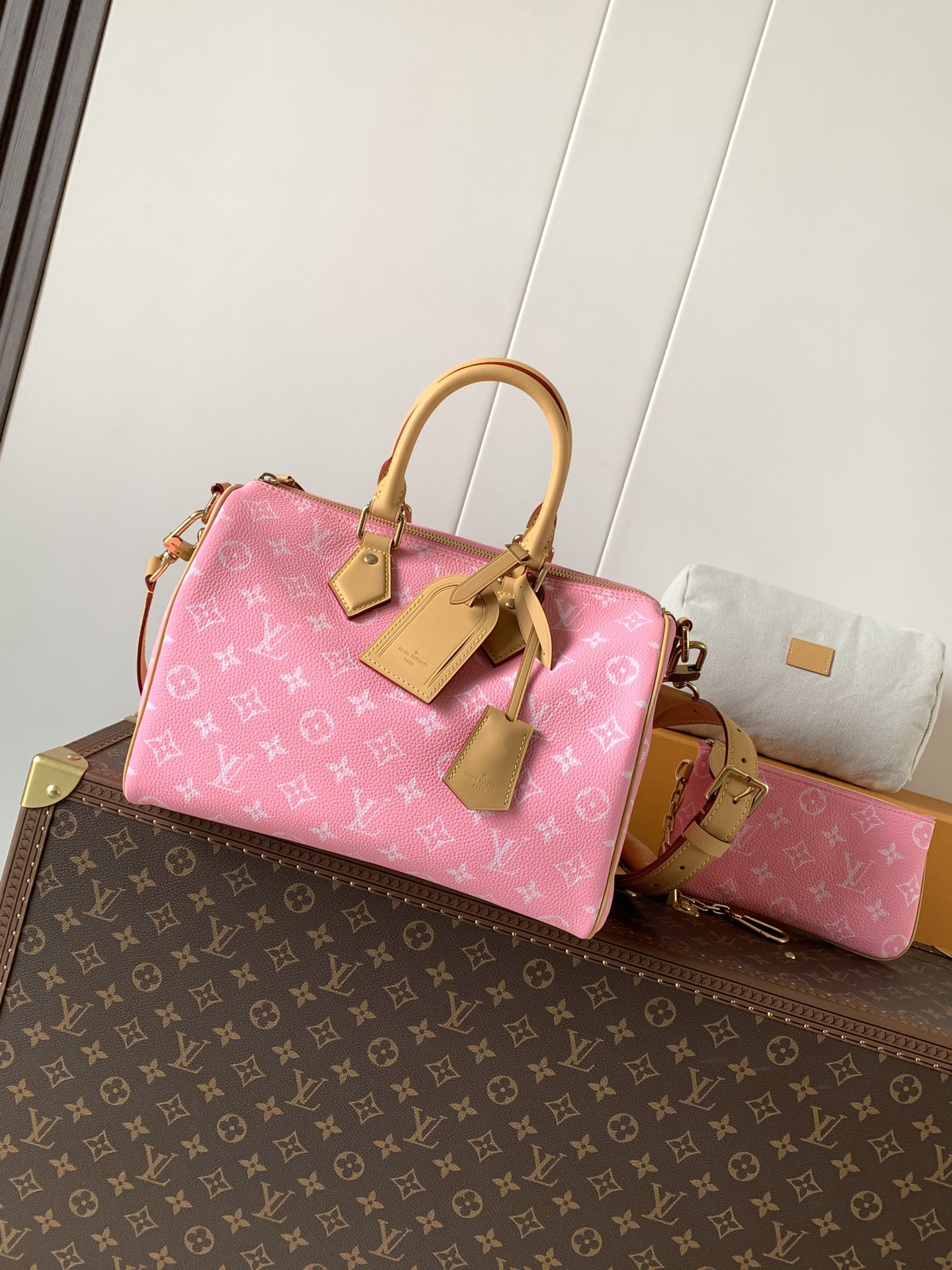 Louis Vuitton Basic Bag Cow Leather Black M-l-s