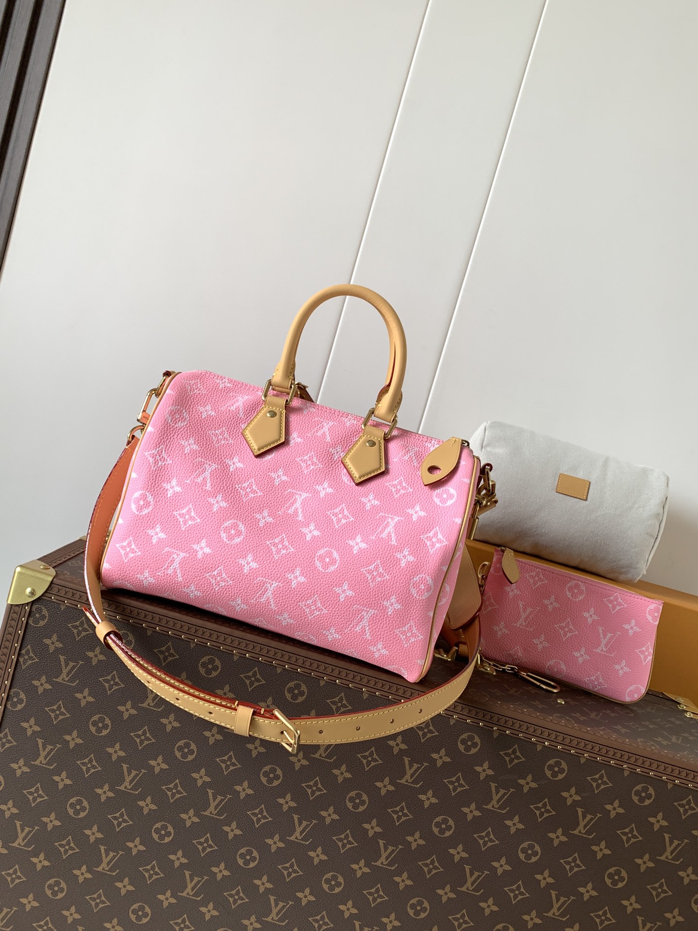 Louis Vuitton Basic Bag Cow Leather Black M-l-s