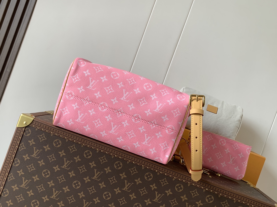 Louis Vuitton Basic Bag Cow Leather Black M-l-s