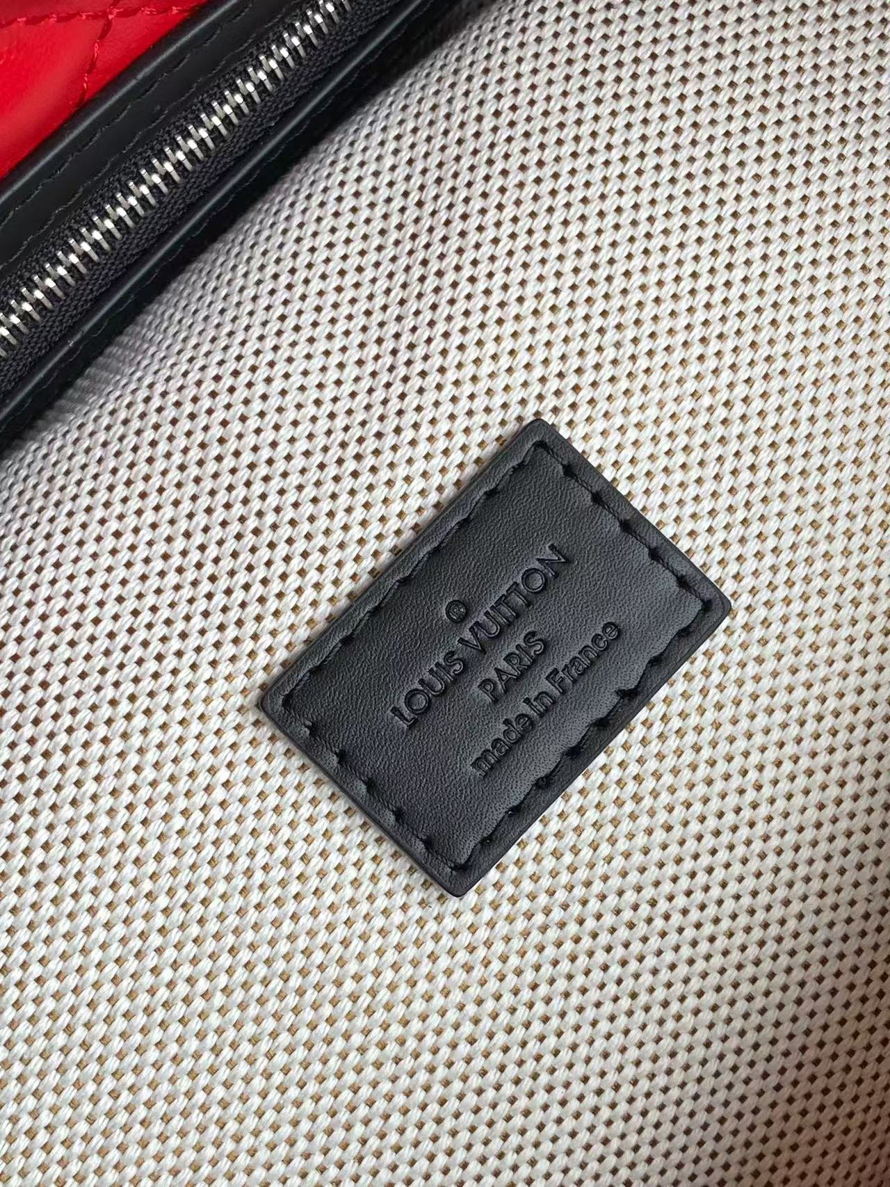 Louis Vuitton Basic Bag Cow Leather M-l-s