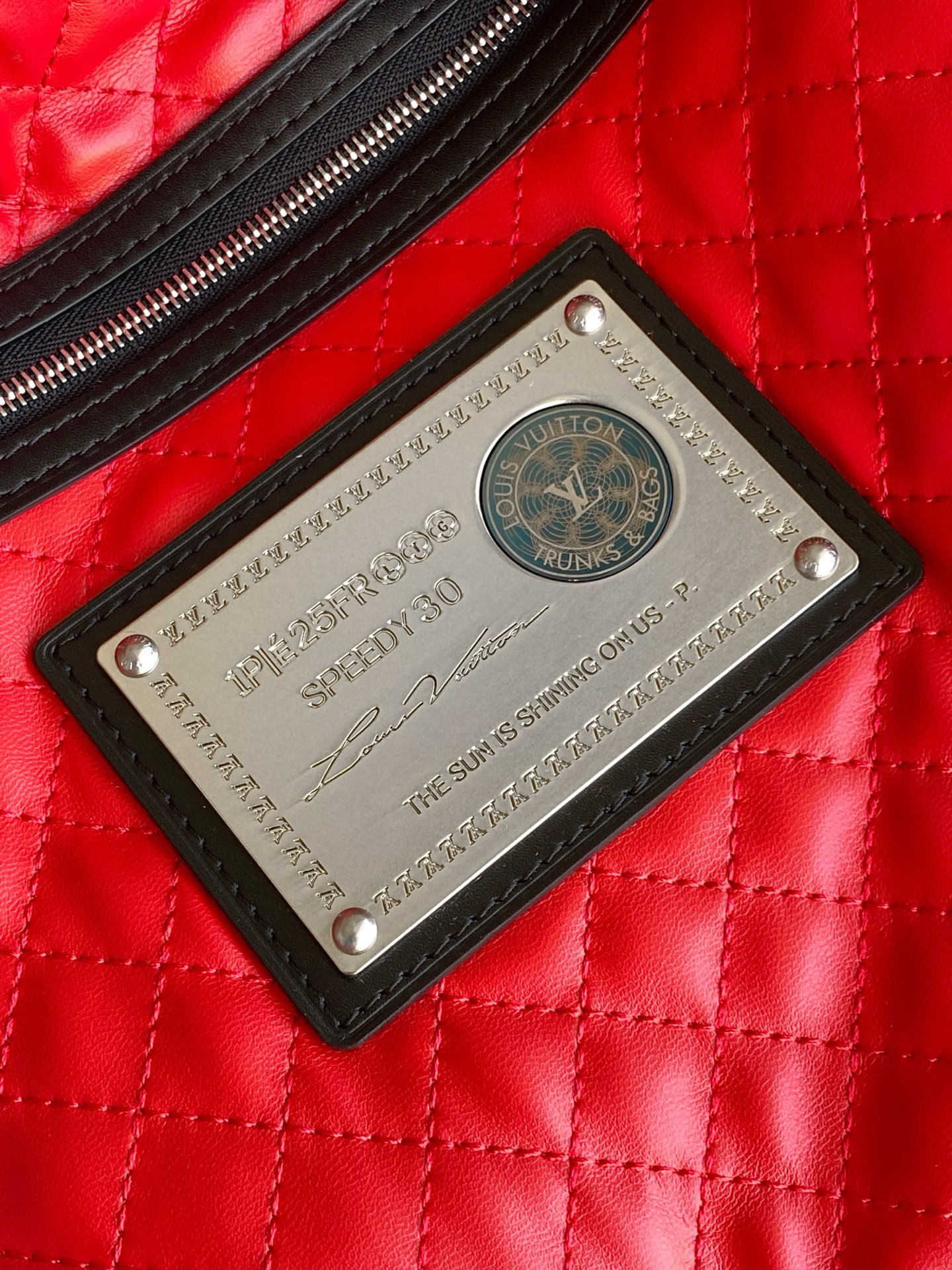 Louis Vuitton Basic Bag Cow Leather M-l-s