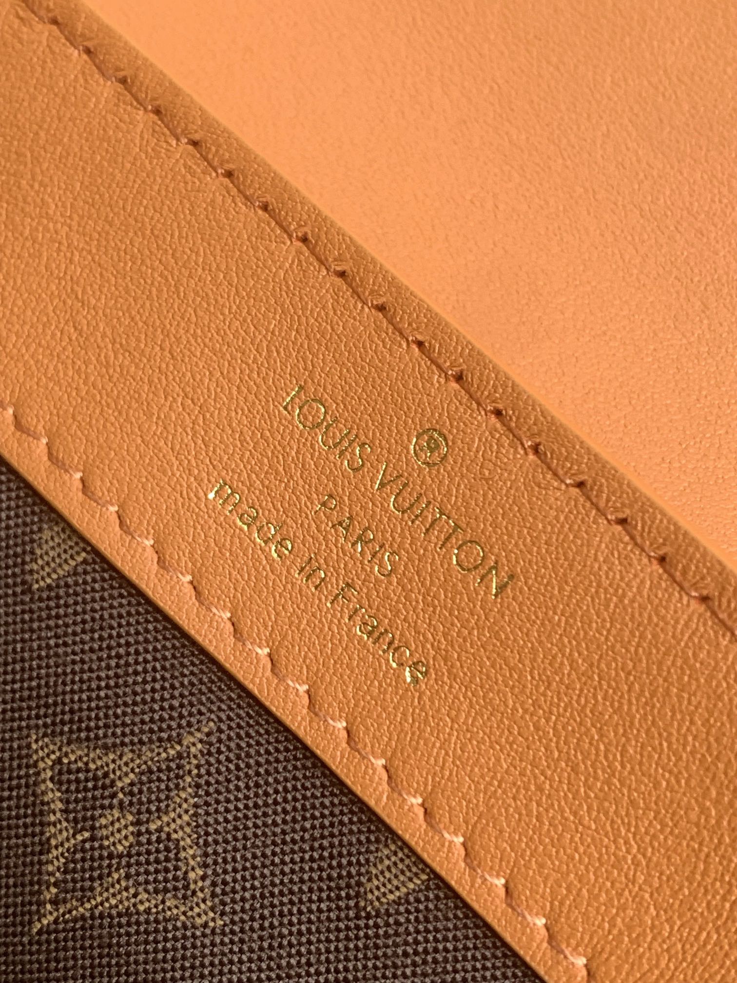 Louis Vuitton Basic Bag Cow Leather Black M-l-s