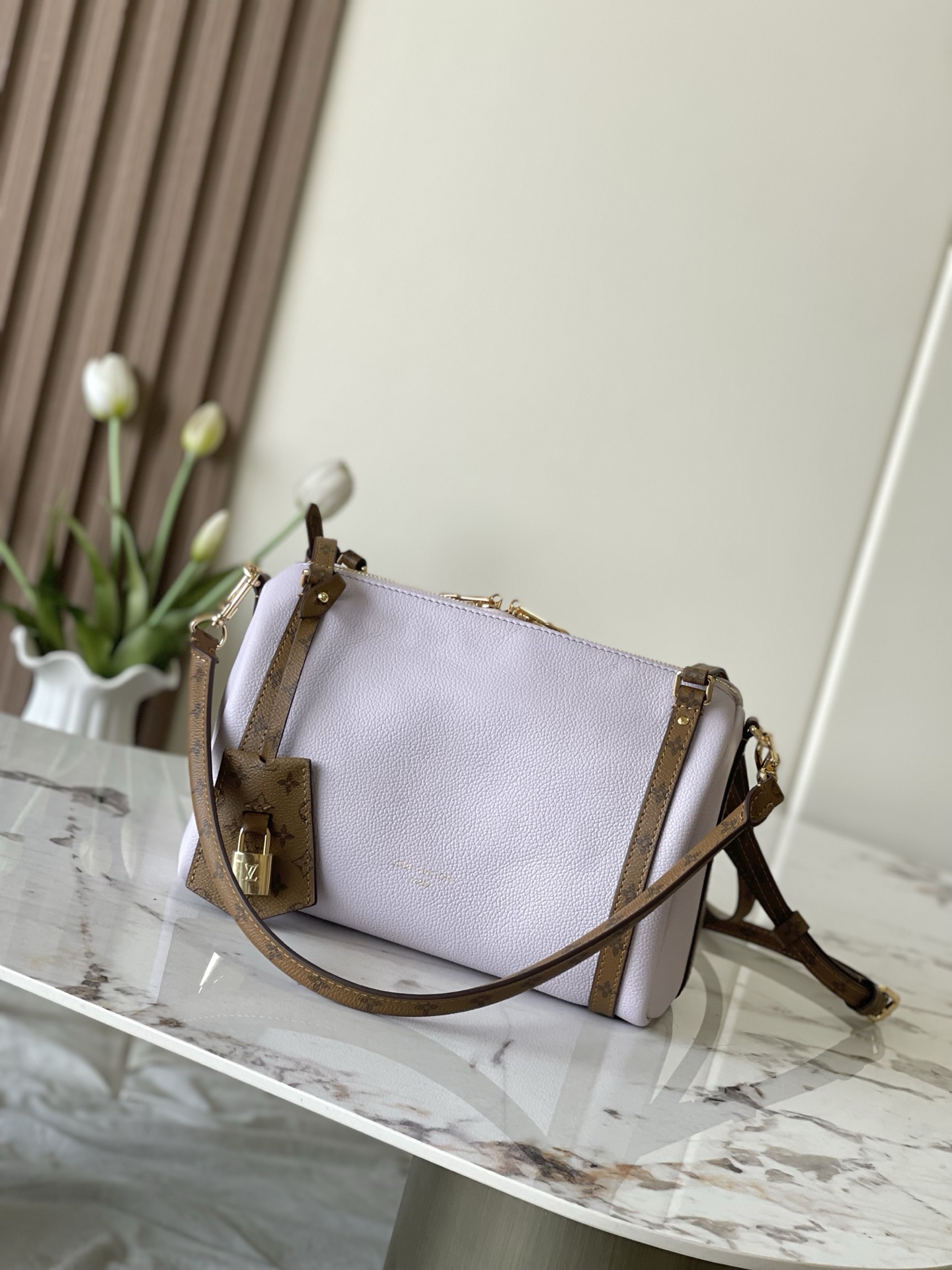 Louis Vuitton Basic Bag Cow Leather M-l-s