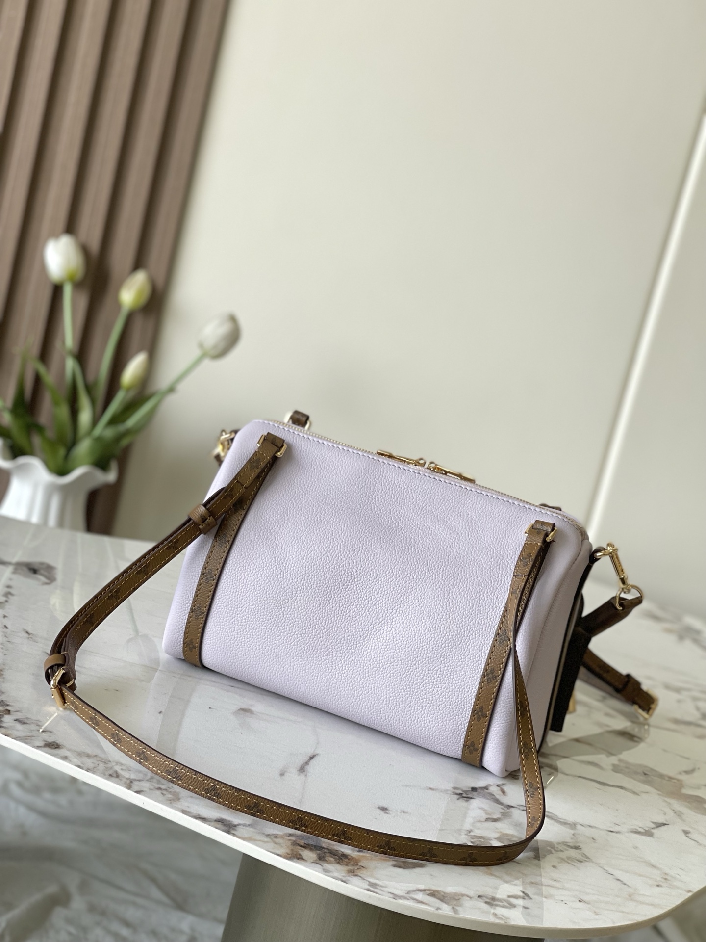 Louis Vuitton Basic Bag Cow Leather M-l-s