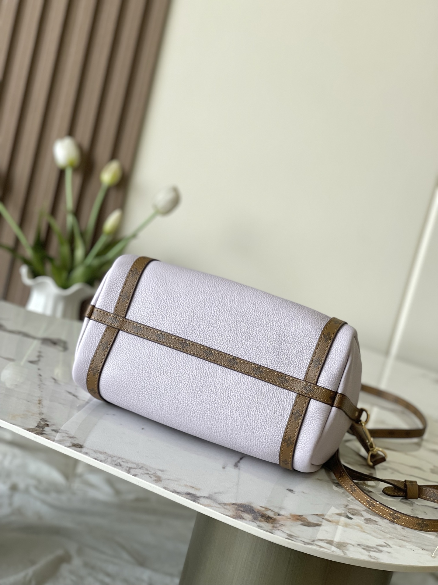 Louis Vuitton Basic Bag Cow Leather M-l-s