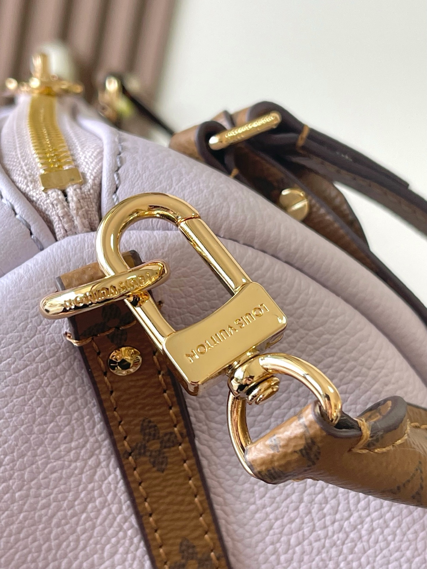 Louis Vuitton Basic Bag Cow Leather M-l-s