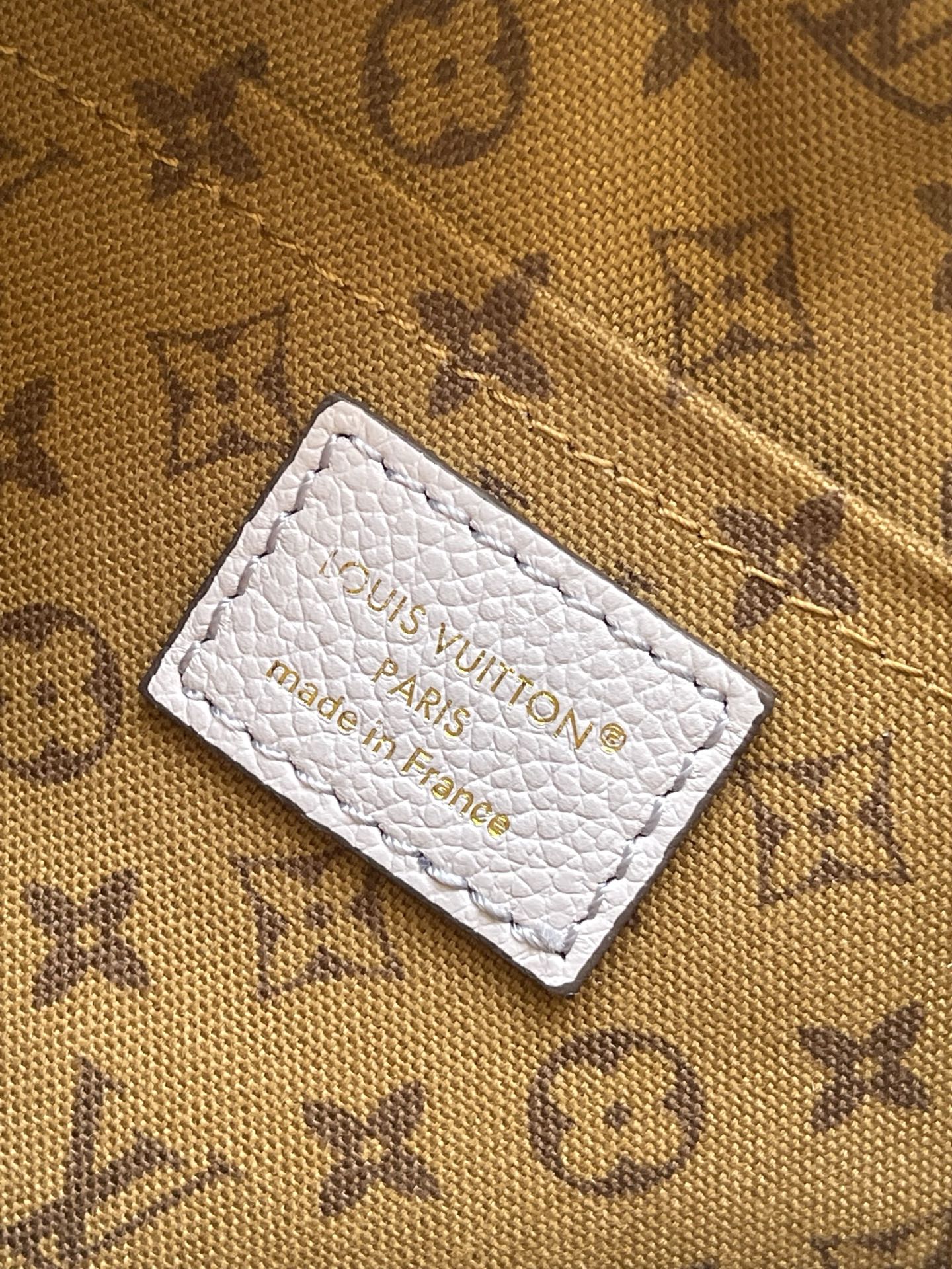 Louis Vuitton Basic Bag Cow Leather M-l-s