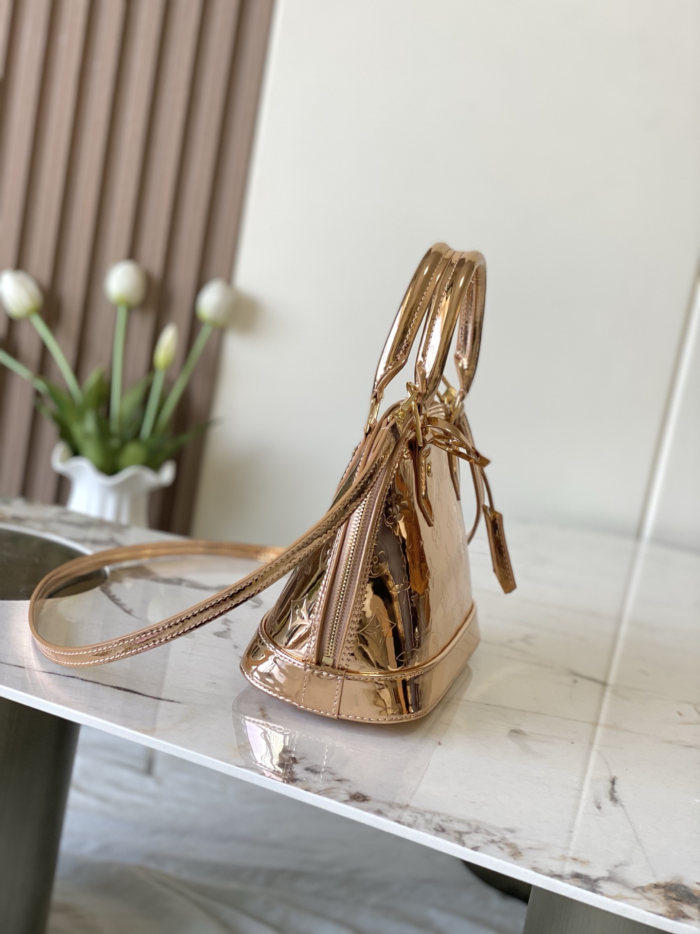 Louis Vuitton Basic Bag Canvas Silver M-l-s