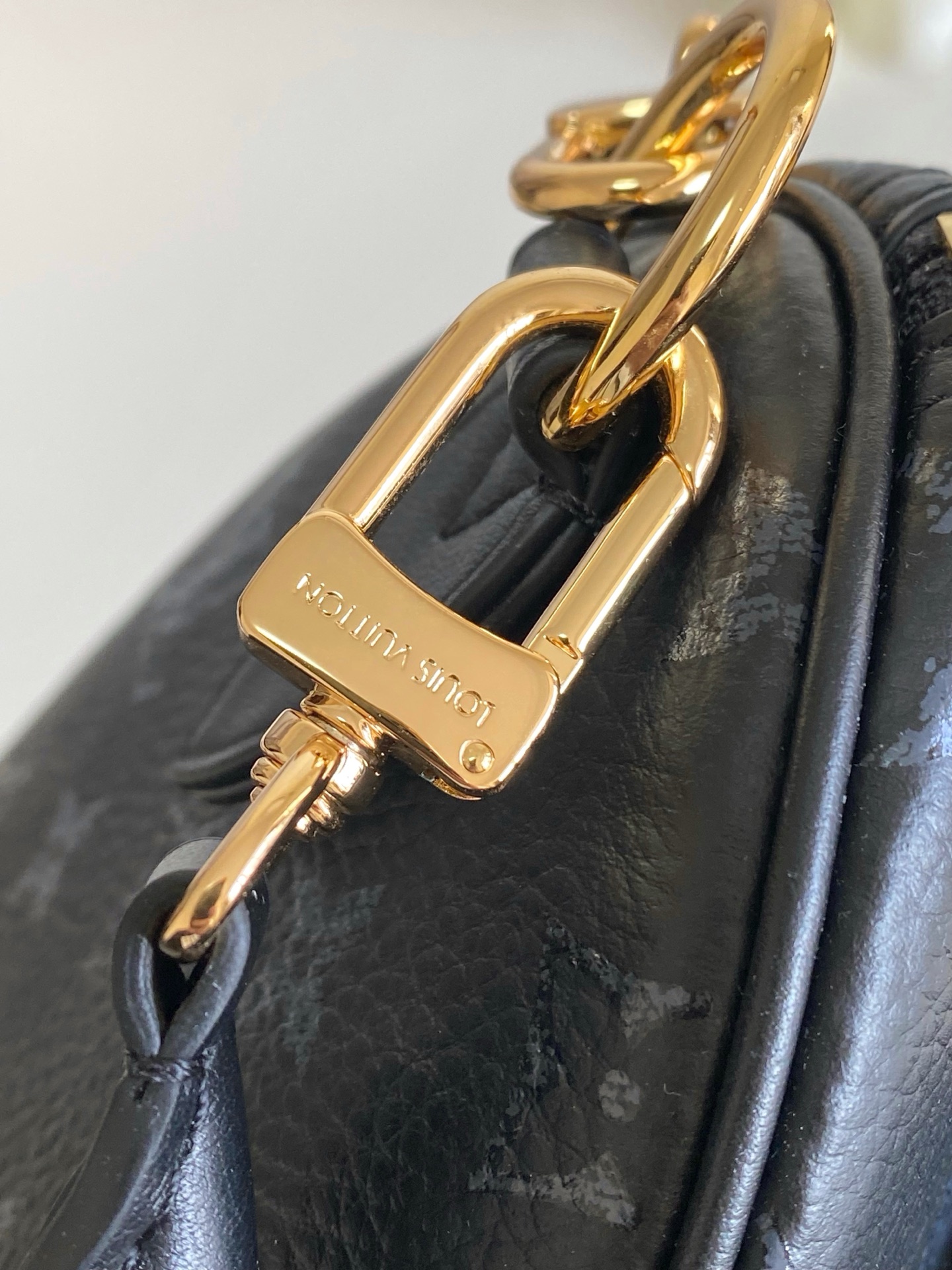 Louis Vuitton Basic Bag Cow Leather M-l-s