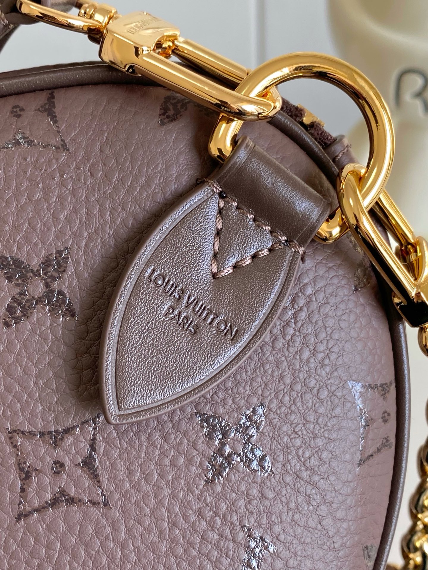 Louis Vuitton Basic Bag Cow Leather M-l-s