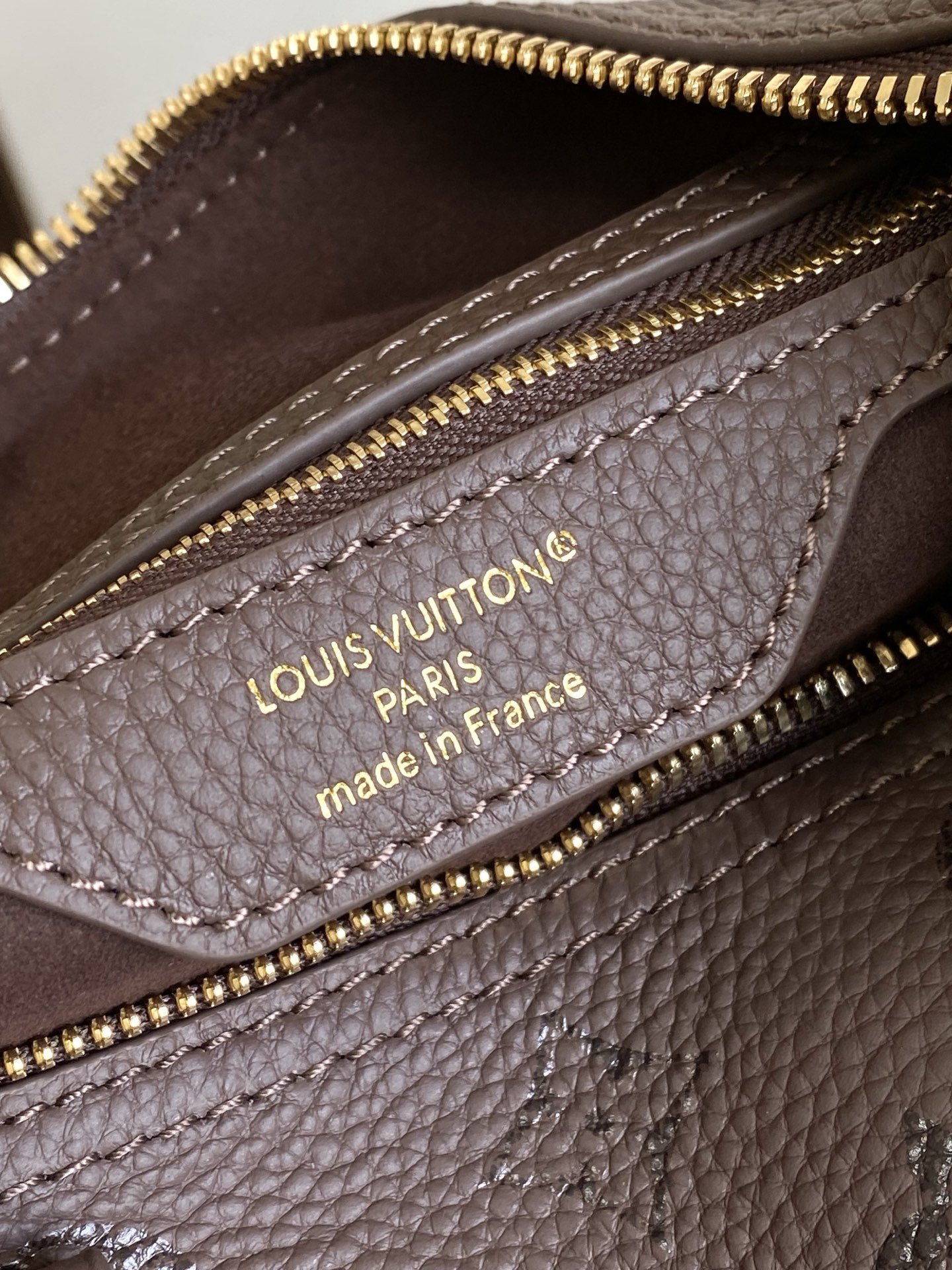 Louis Vuitton Basic Bag Cow Leather M-l-s