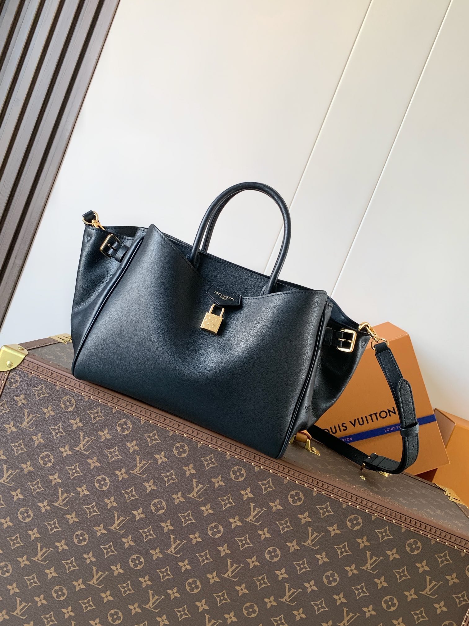 Louis Vuitton Basic Bag Cow Leather Black M-s