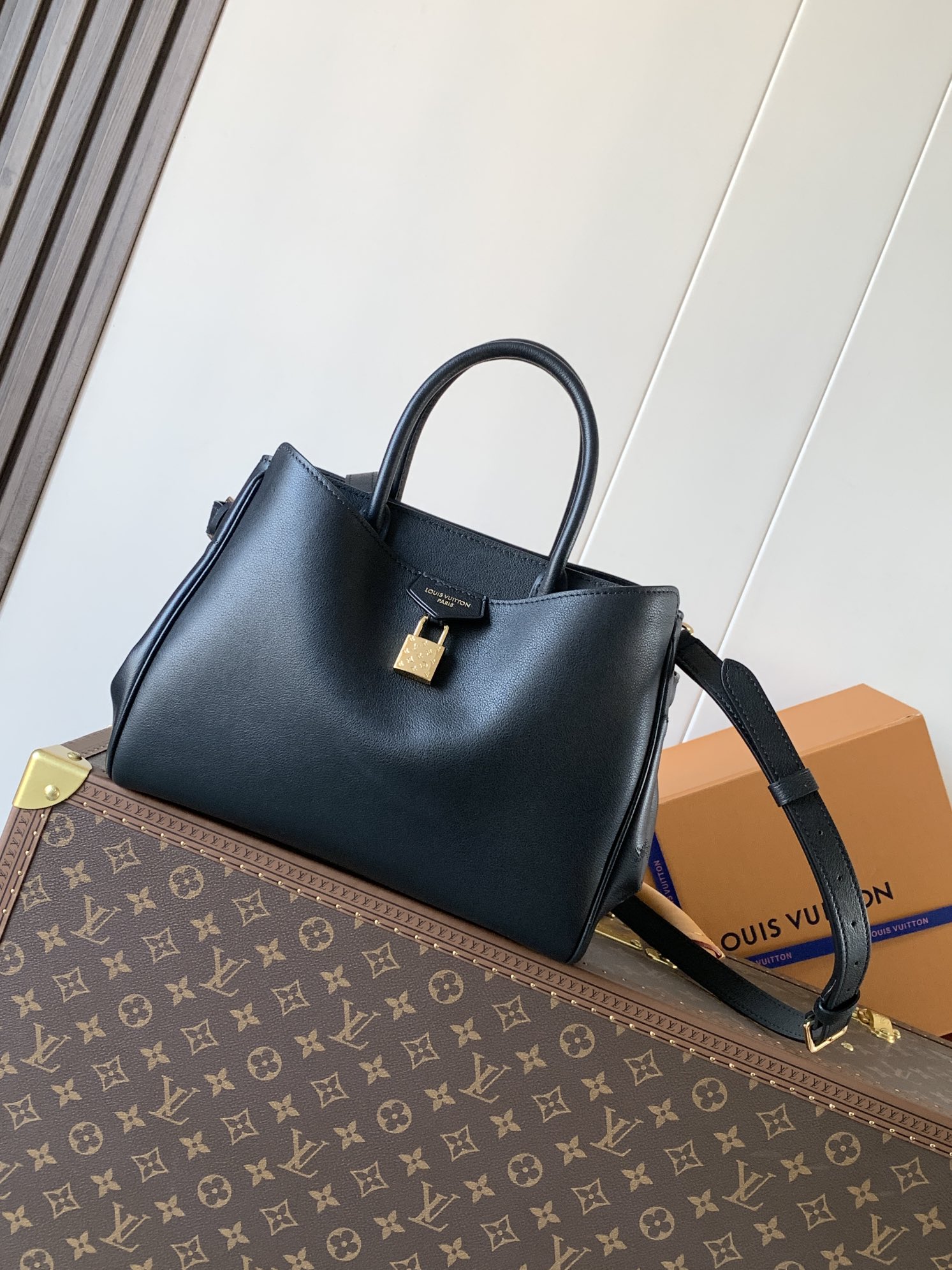Louis Vuitton Basic Bag Cow Leather Black M-s