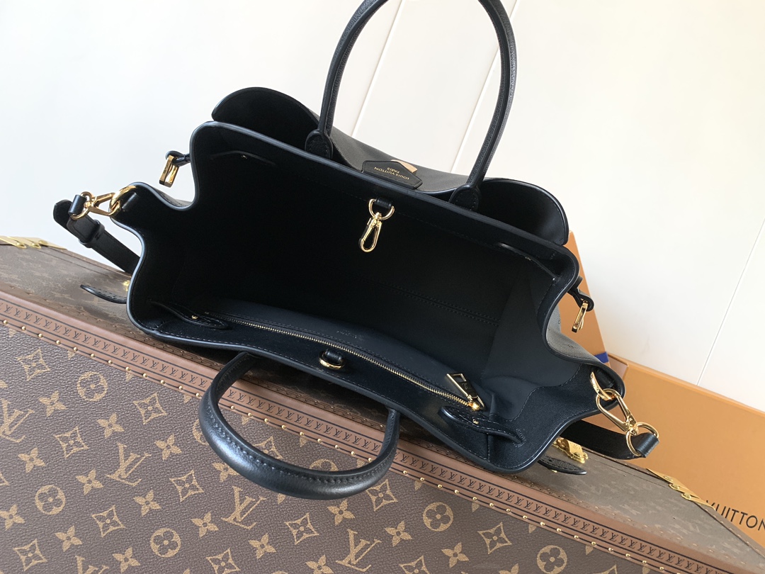 Louis Vuitton Basic Bag Cow Leather Black M-s