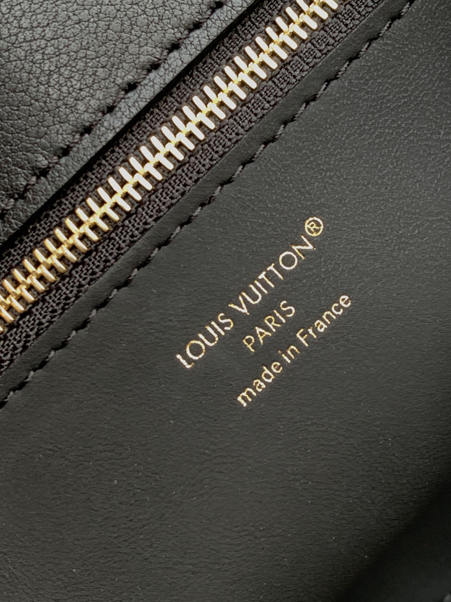 Louis Vuitton Basic Bag Cow Leather Black M-s