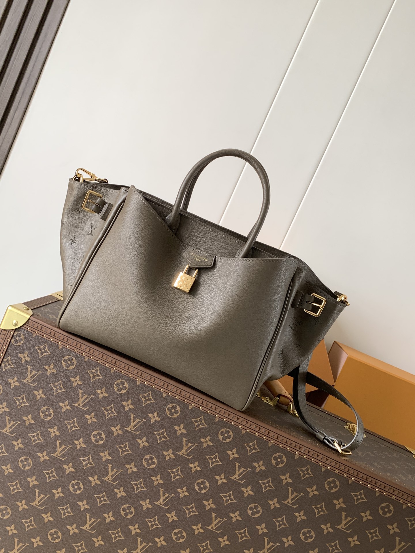 Louis Vuitton Basic Bag Cow Leather Black M-s