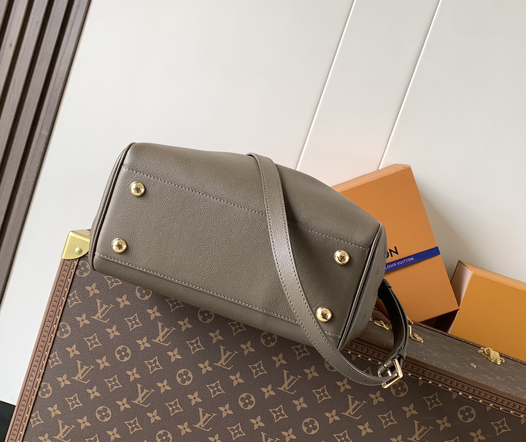 Louis Vuitton Basic Bag Cow Leather Black M-s