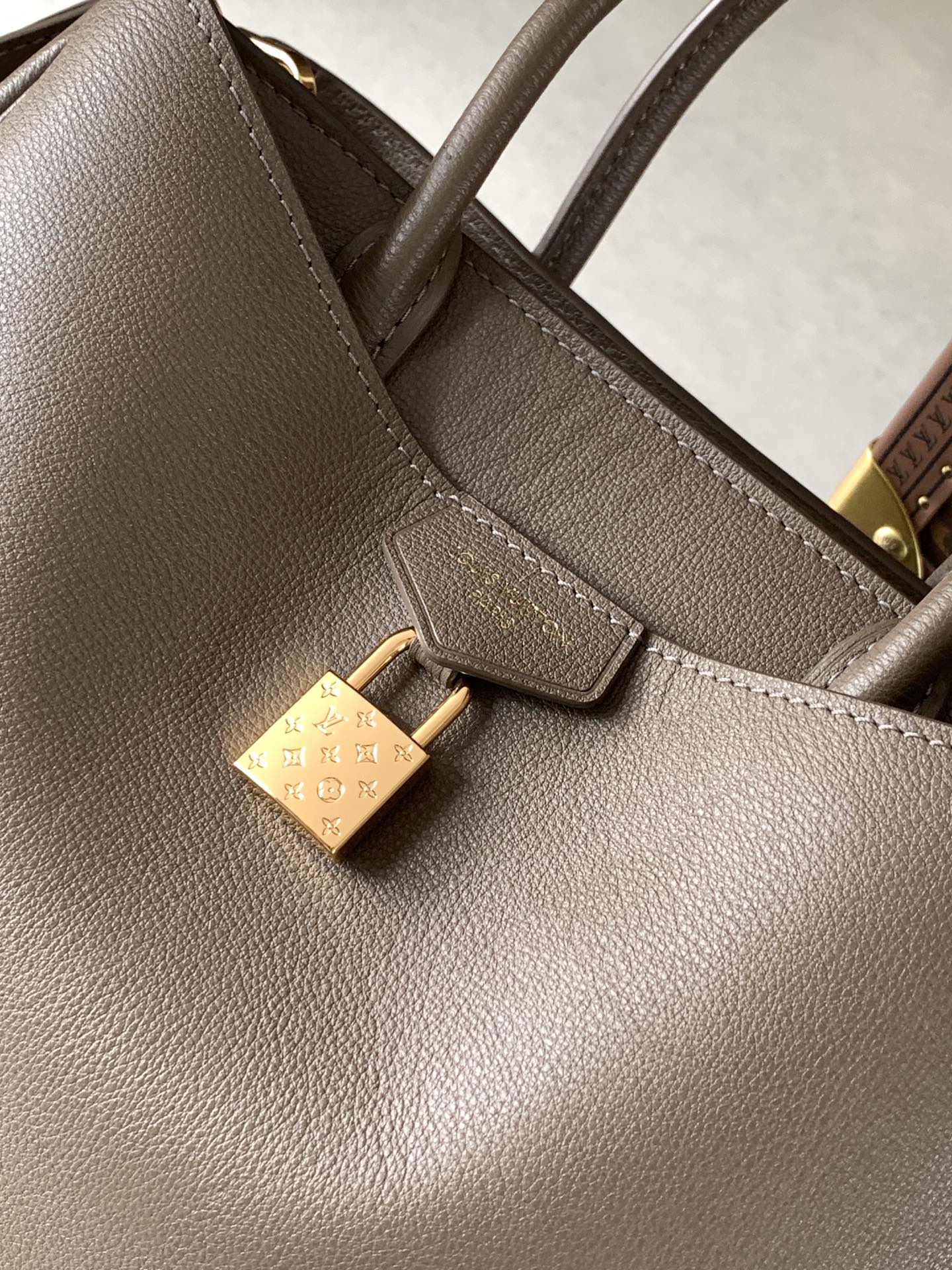 Louis Vuitton Basic Bag Cow Leather Black M-s