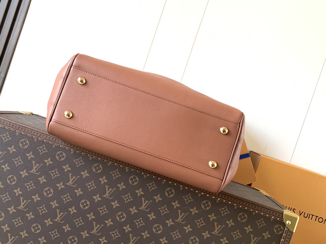 Louis Vuitton Basic Bag Cow Leather Black M-s