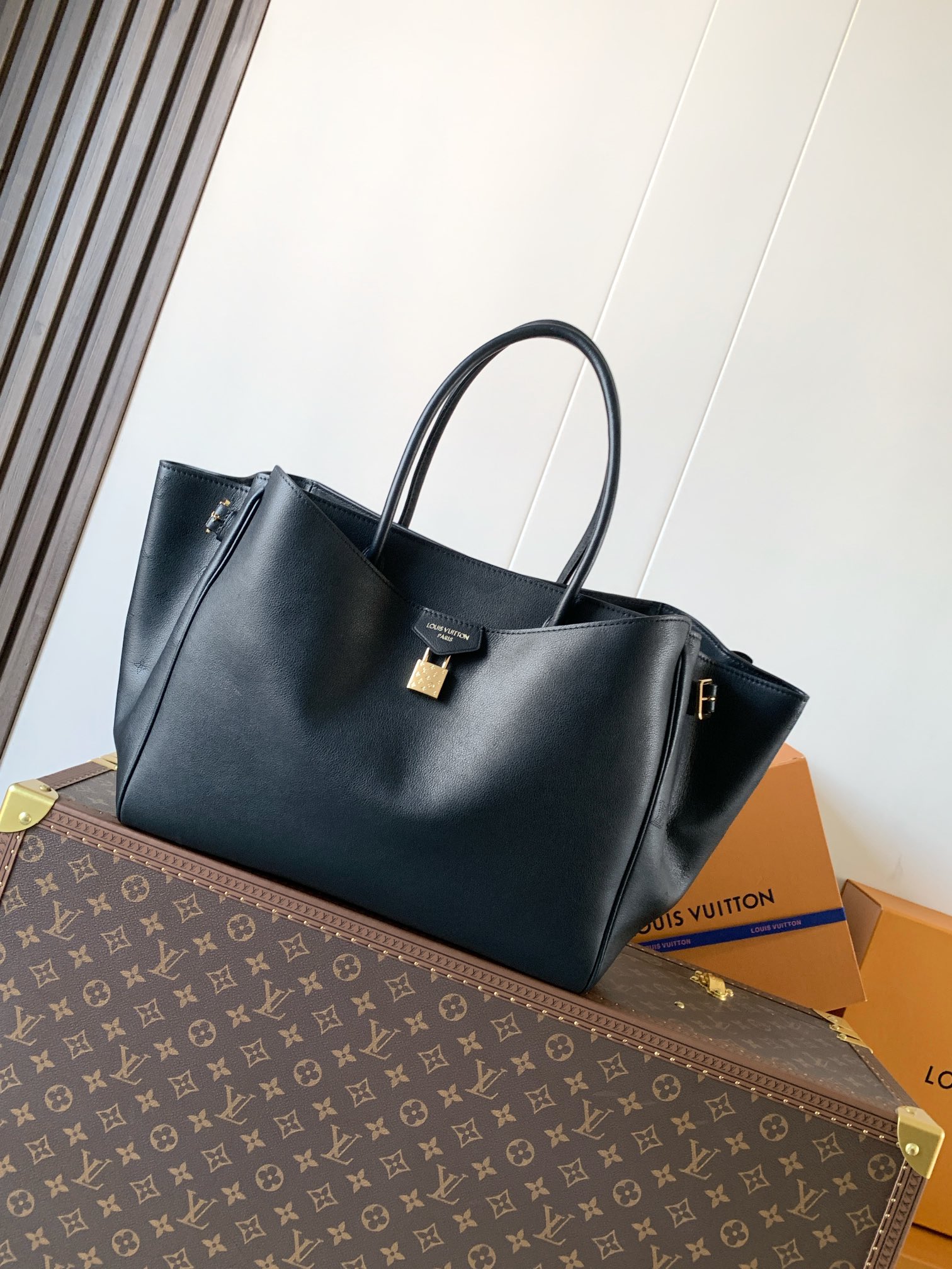 Louis Vuitton Basic Bag Cow Leather Black M-s