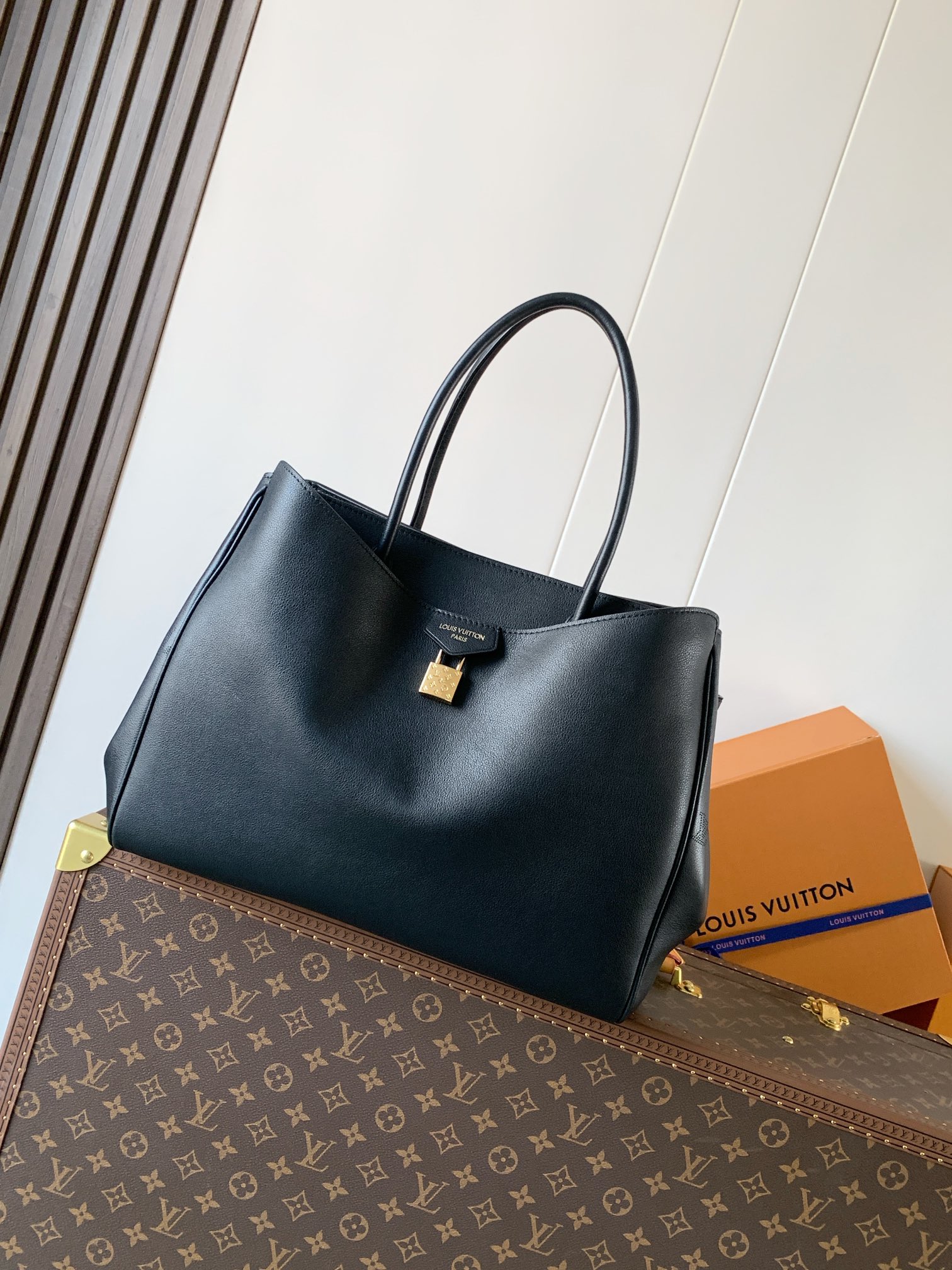 Louis Vuitton Basic Bag Cow Leather Black M-s