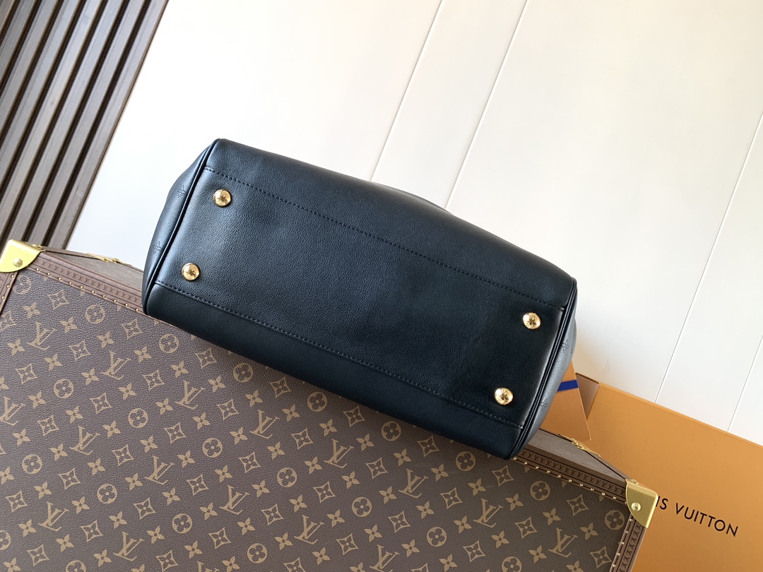 Louis Vuitton Basic Bag Cow Leather Black M-s