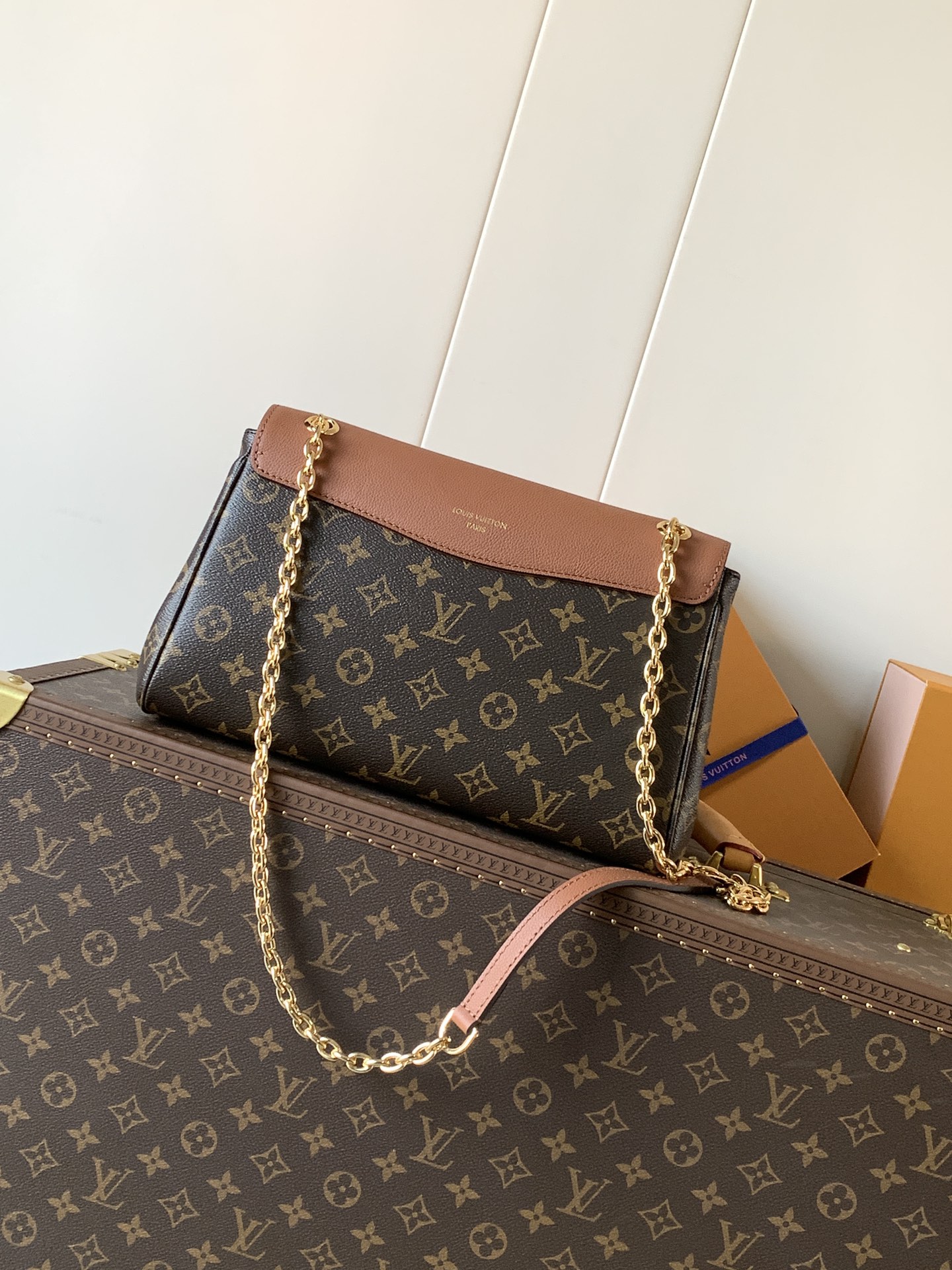 Louis Vuitton Tote Bag Canvas Black M-l-s