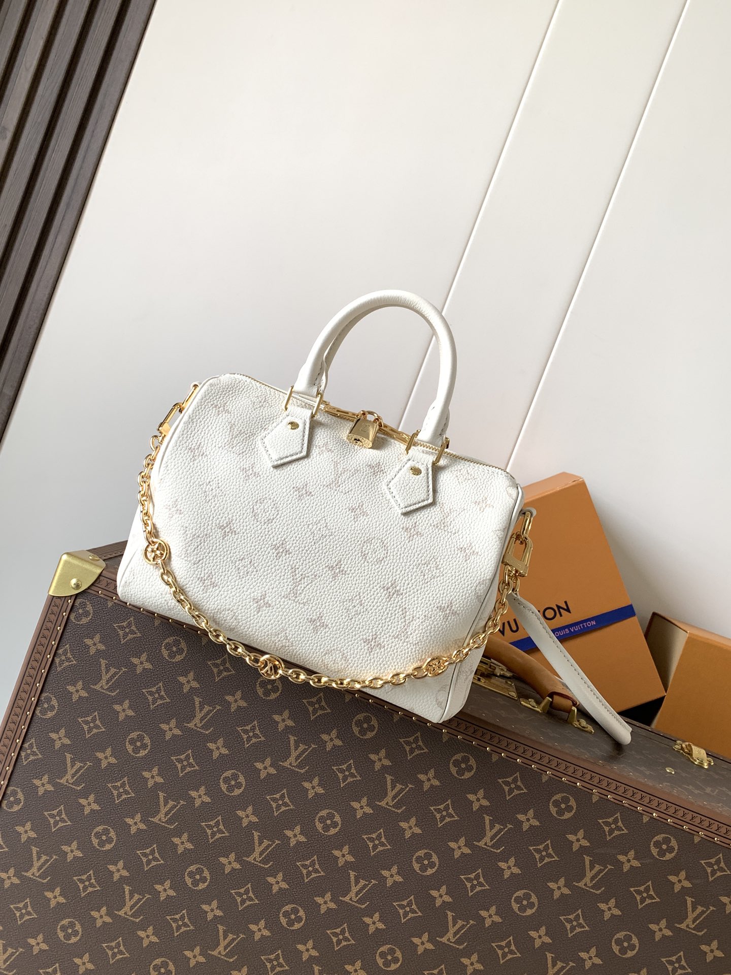 Louis Vuitton Basic Bag Cow Leather Black M-l-s