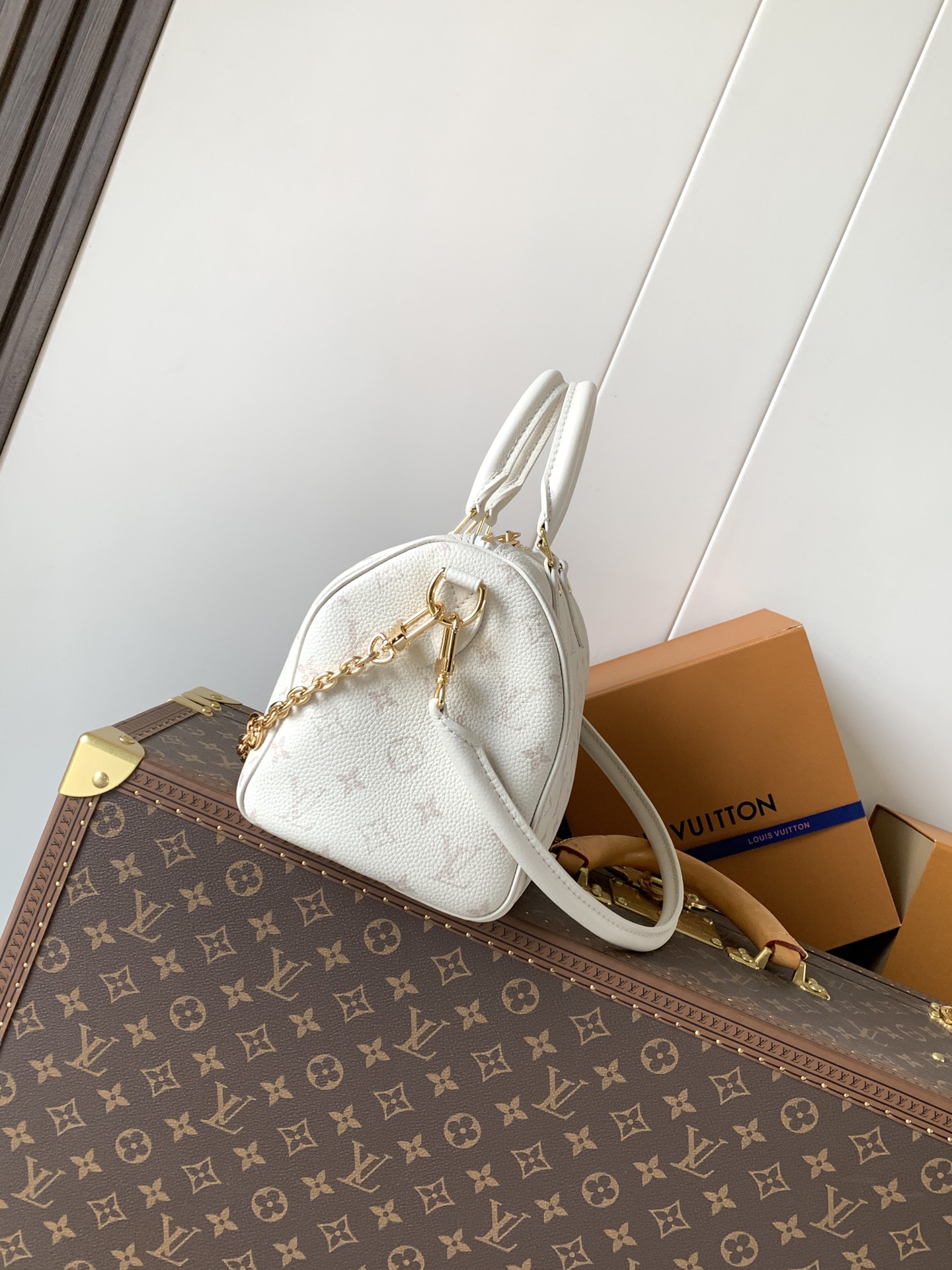 Louis Vuitton Basic Bag Cow Leather Black M-l-s