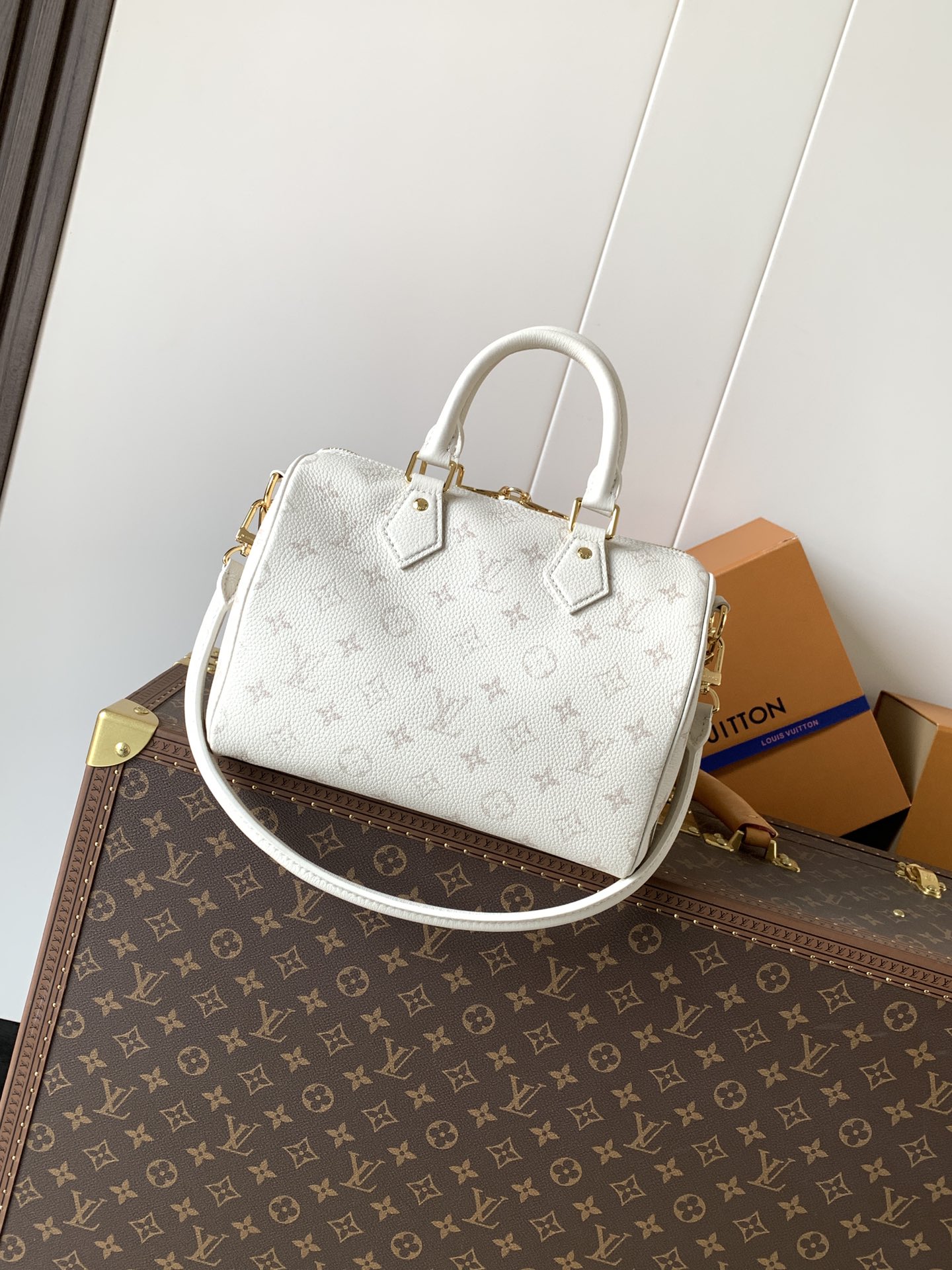 Louis Vuitton Basic Bag Cow Leather Black M-l-s