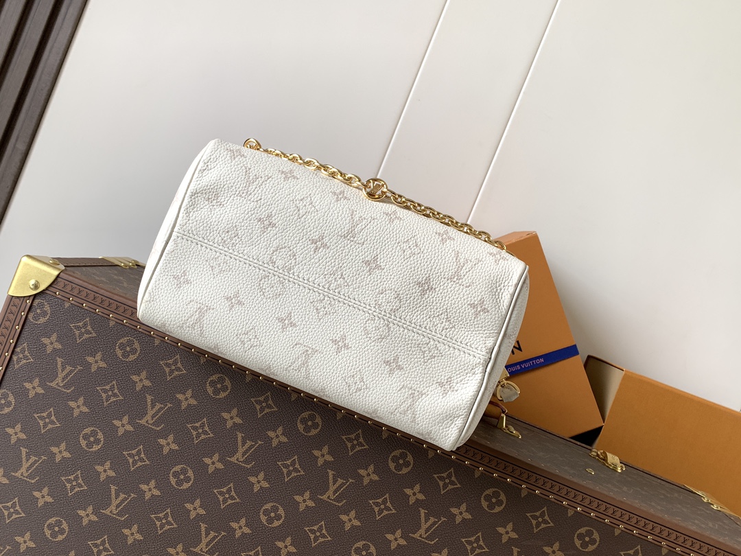 Louis Vuitton Basic Bag Cow Leather Black M-l-s