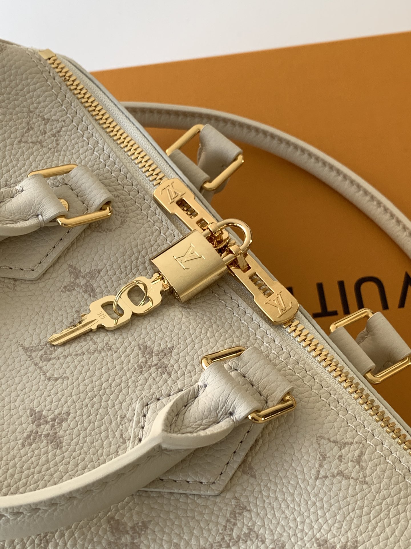 Louis Vuitton Basic Bag Cow Leather Black M-l-s