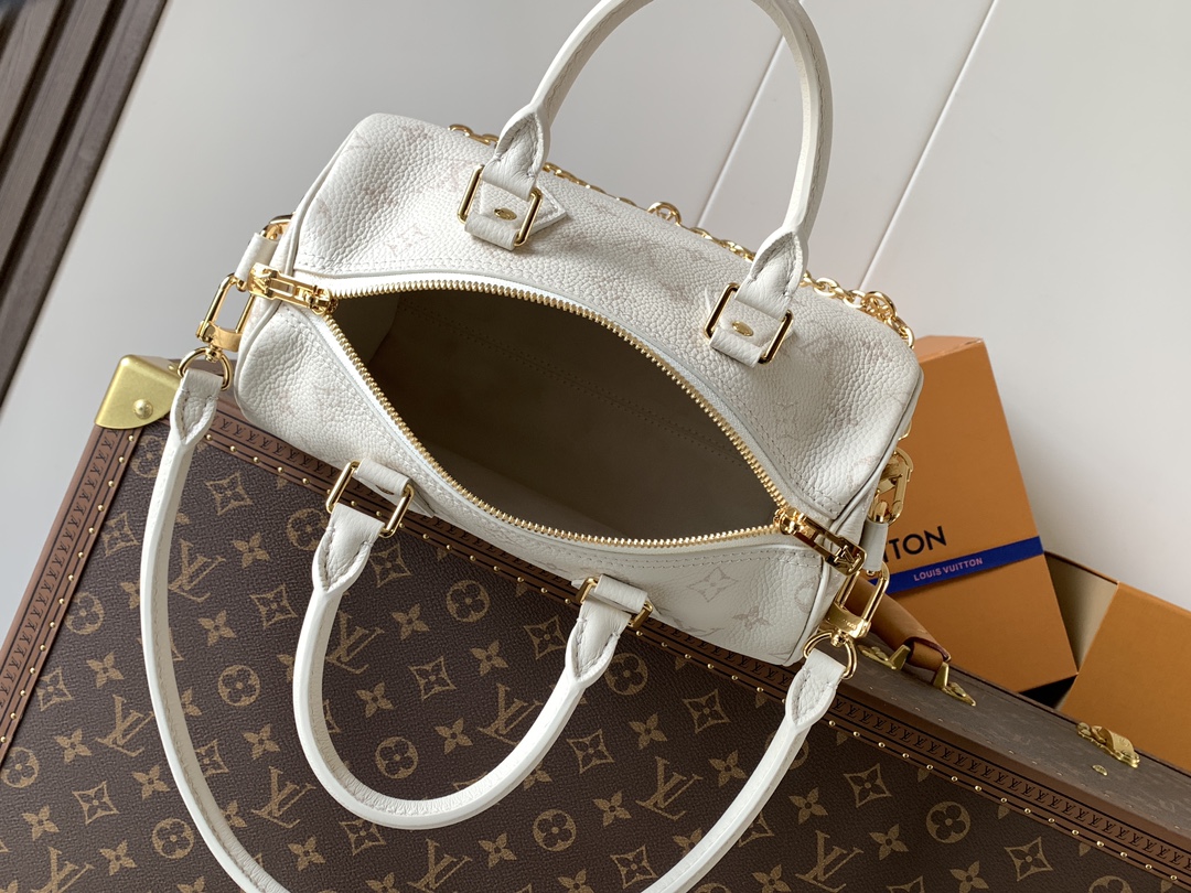 Louis Vuitton Basic Bag Cow Leather Black M-l-s