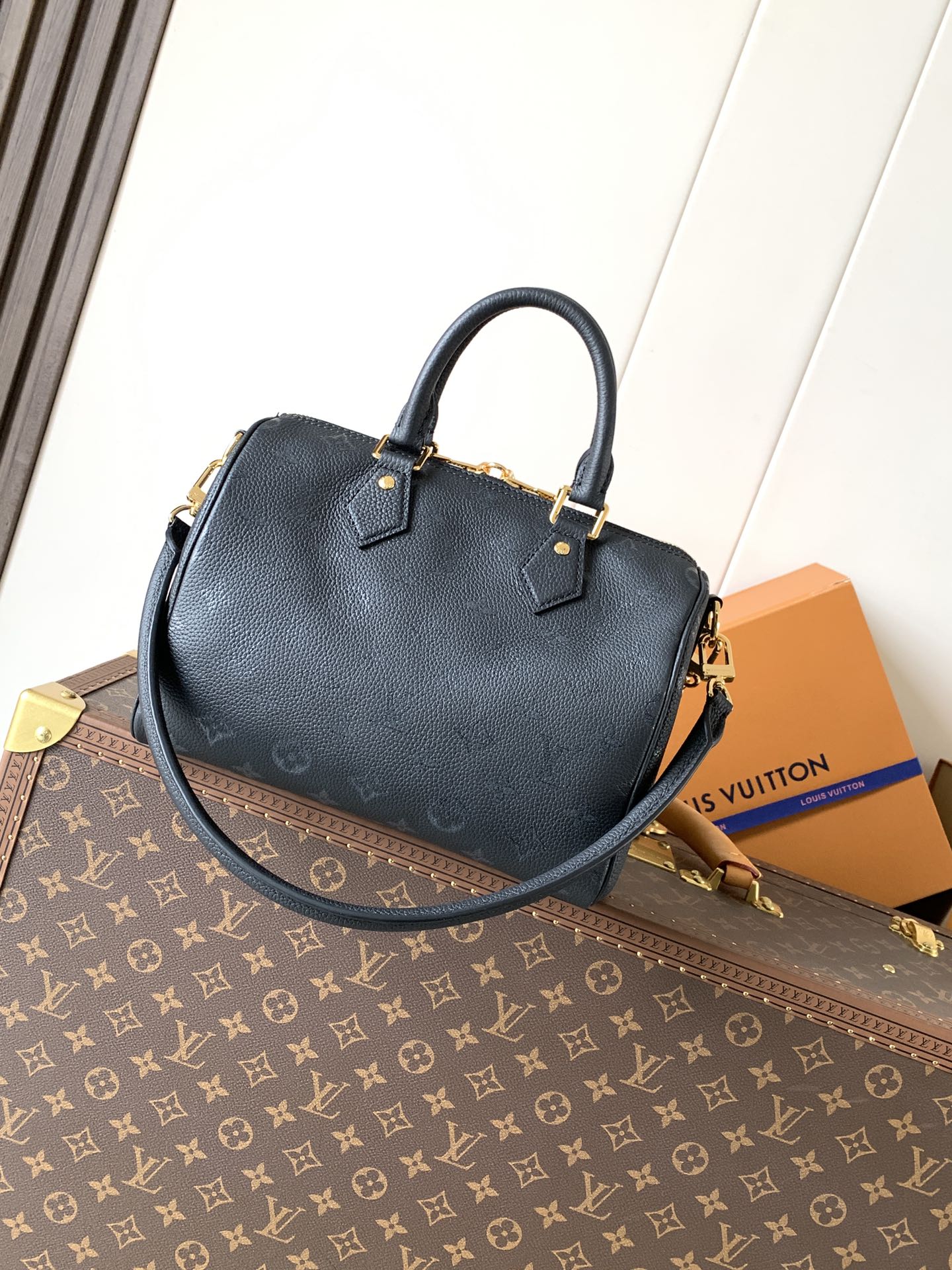 Louis Vuitton Basic Bag Cow Leather Black M-l-s