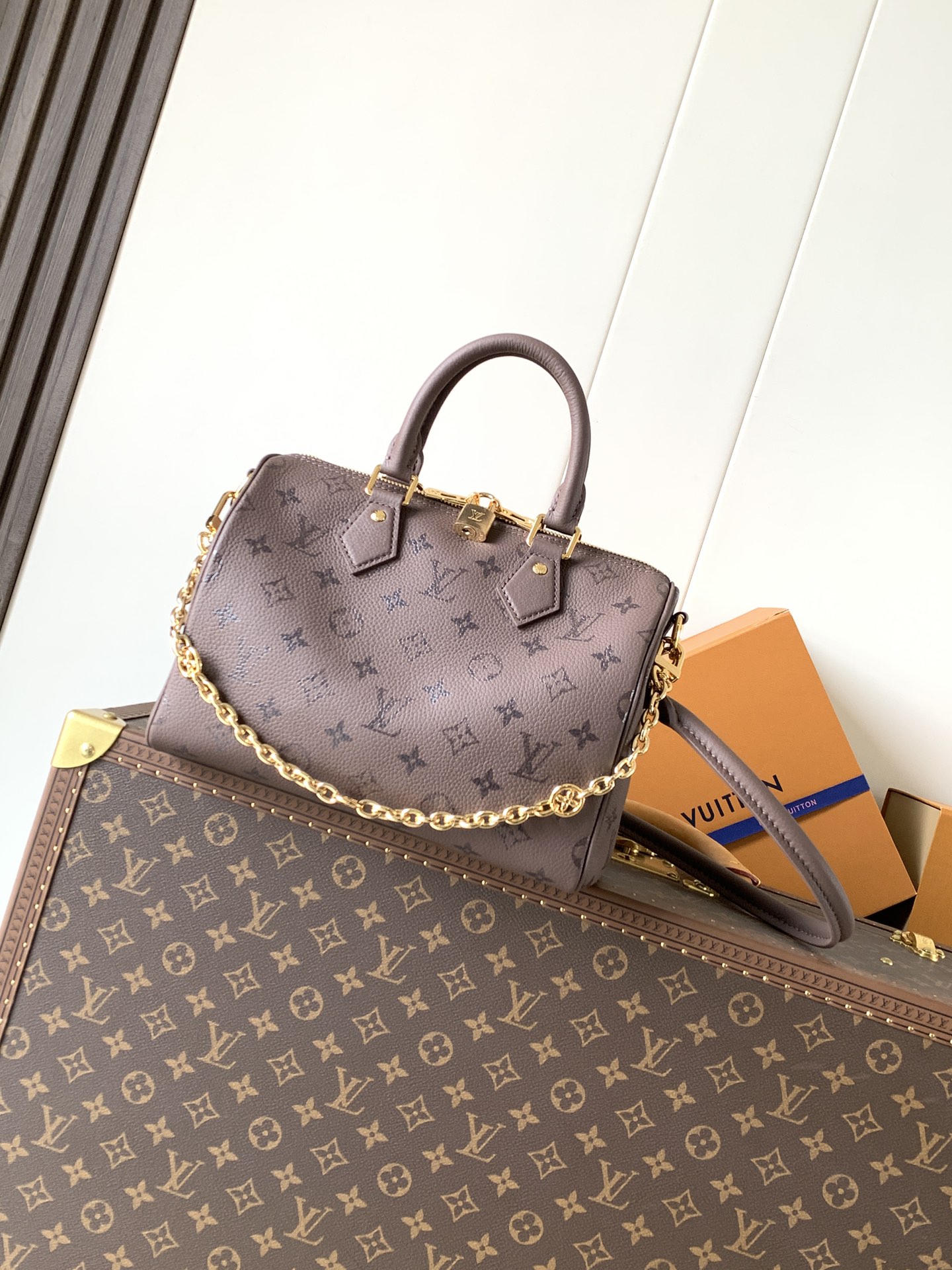 Louis Vuitton Basic Bag Cow Leather Black M-l-s