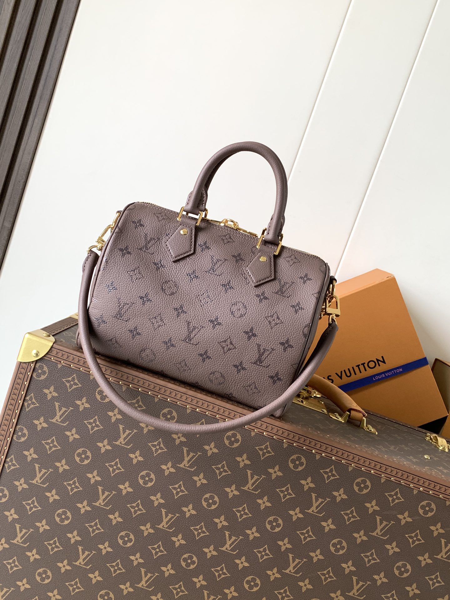 Louis Vuitton Basic Bag Cow Leather Black M-l-s
