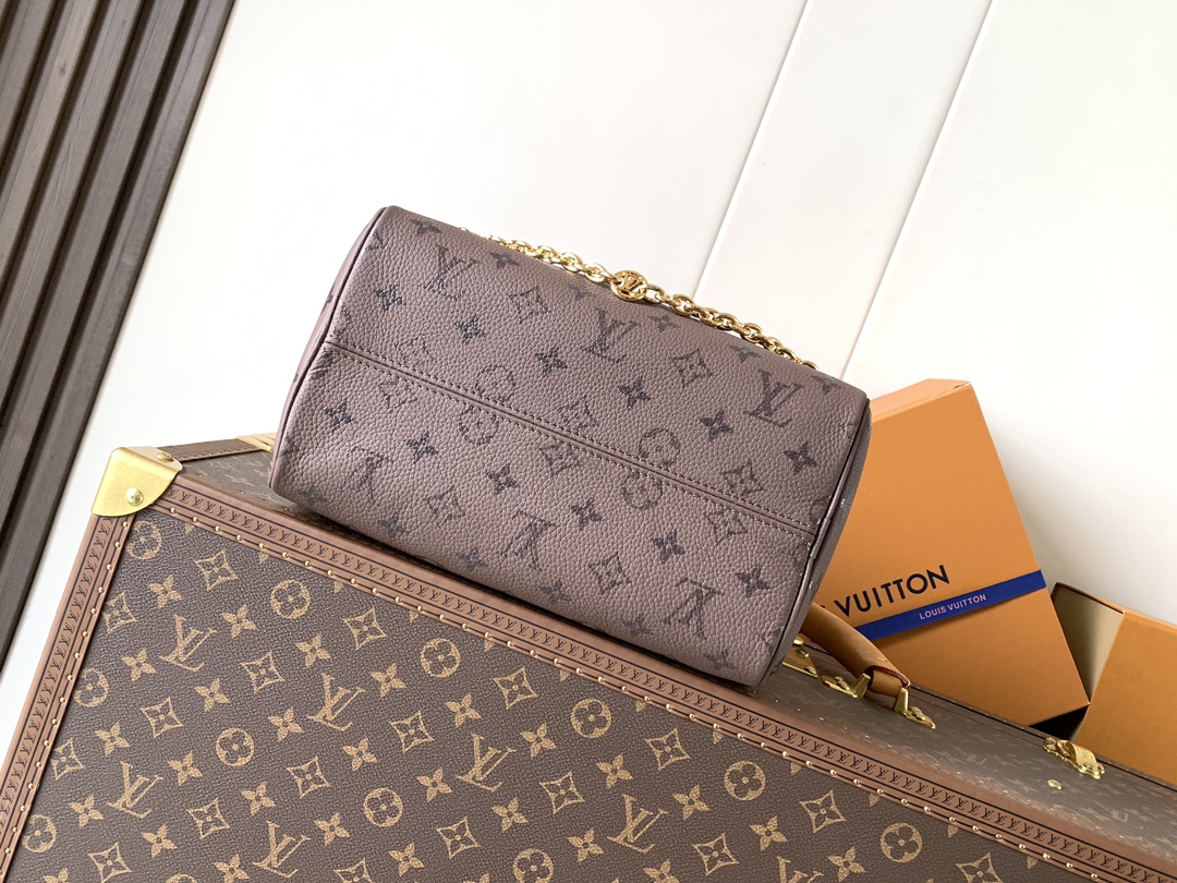 Louis Vuitton Basic Bag Cow Leather Black M-l-s