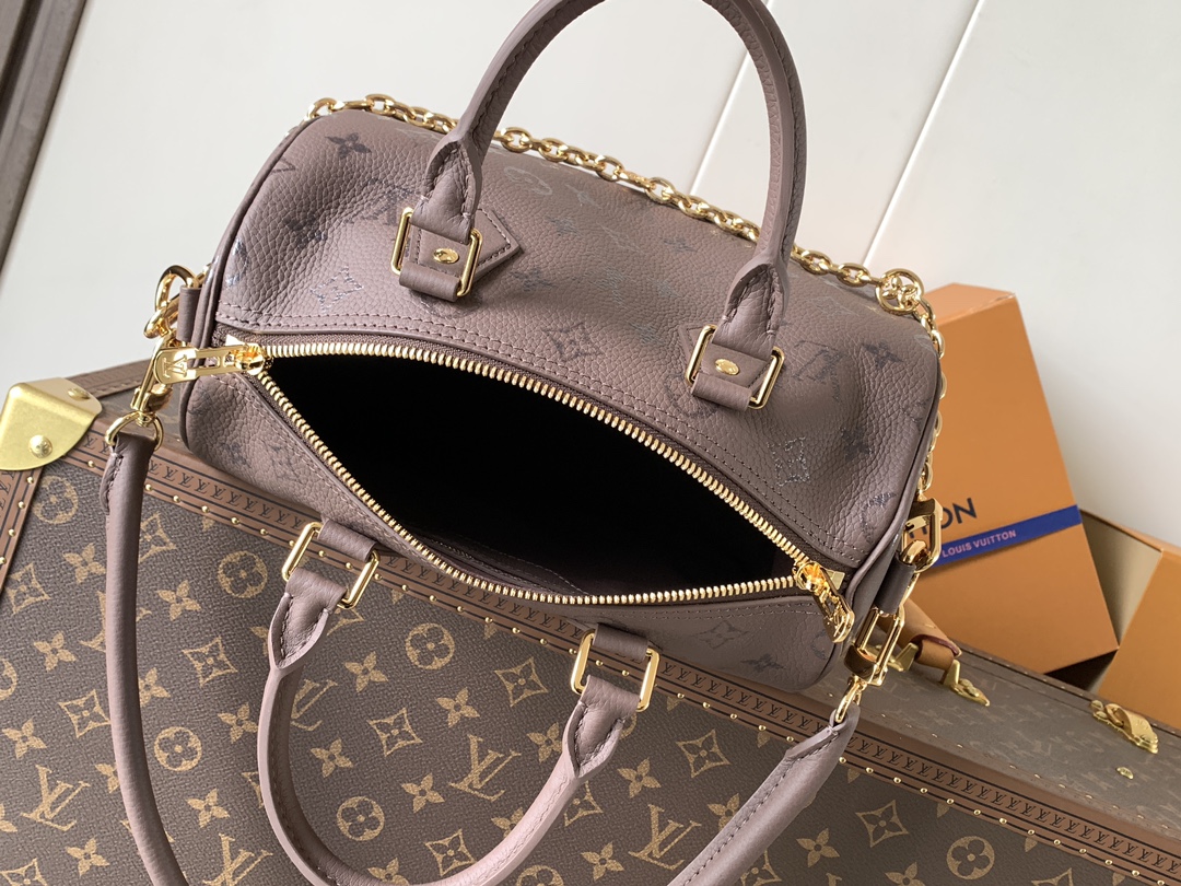 Louis Vuitton Basic Bag Cow Leather Black M-l-s