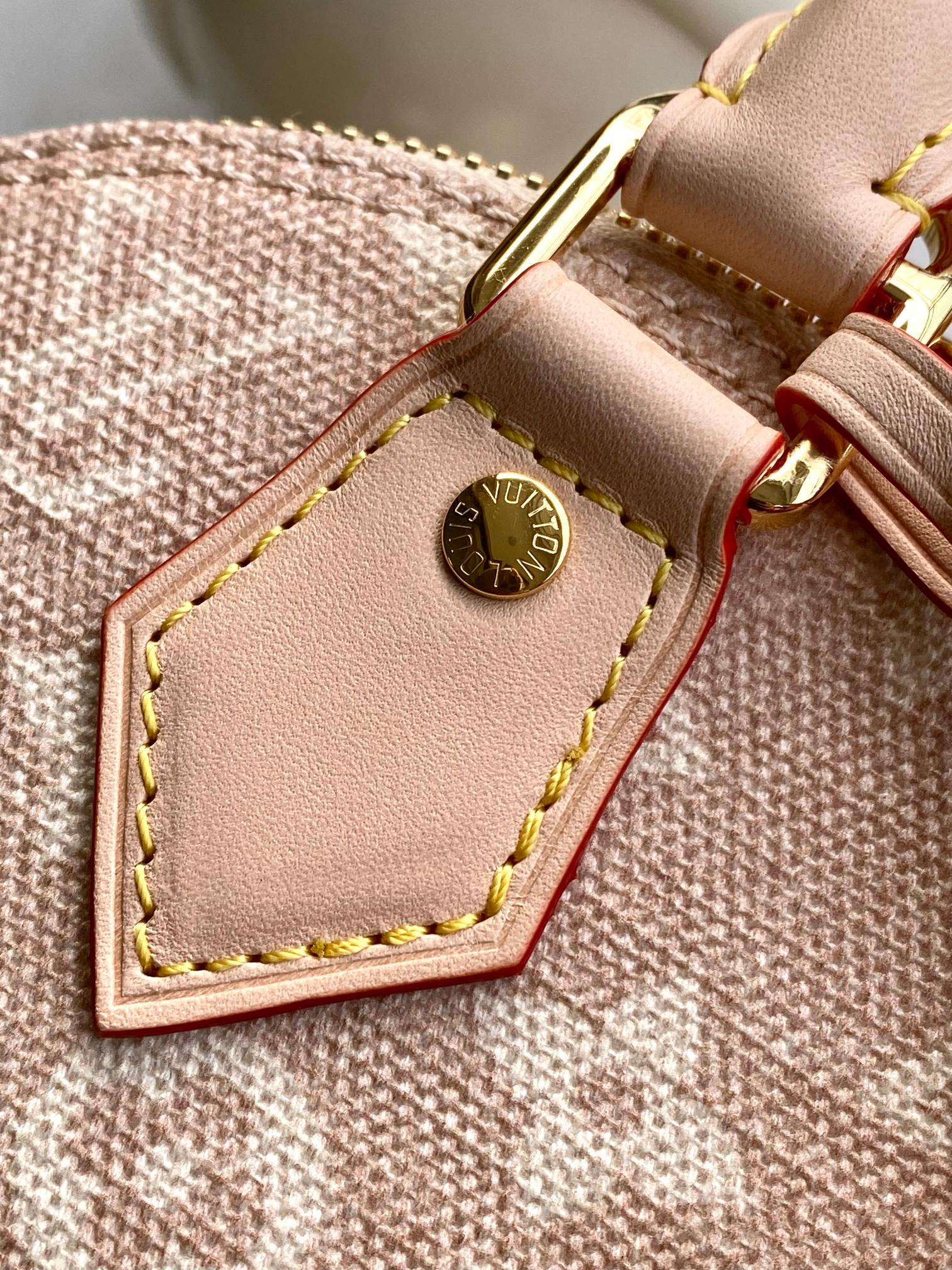 Louis Vuitton Basic Bag Cow Leather M-l-s