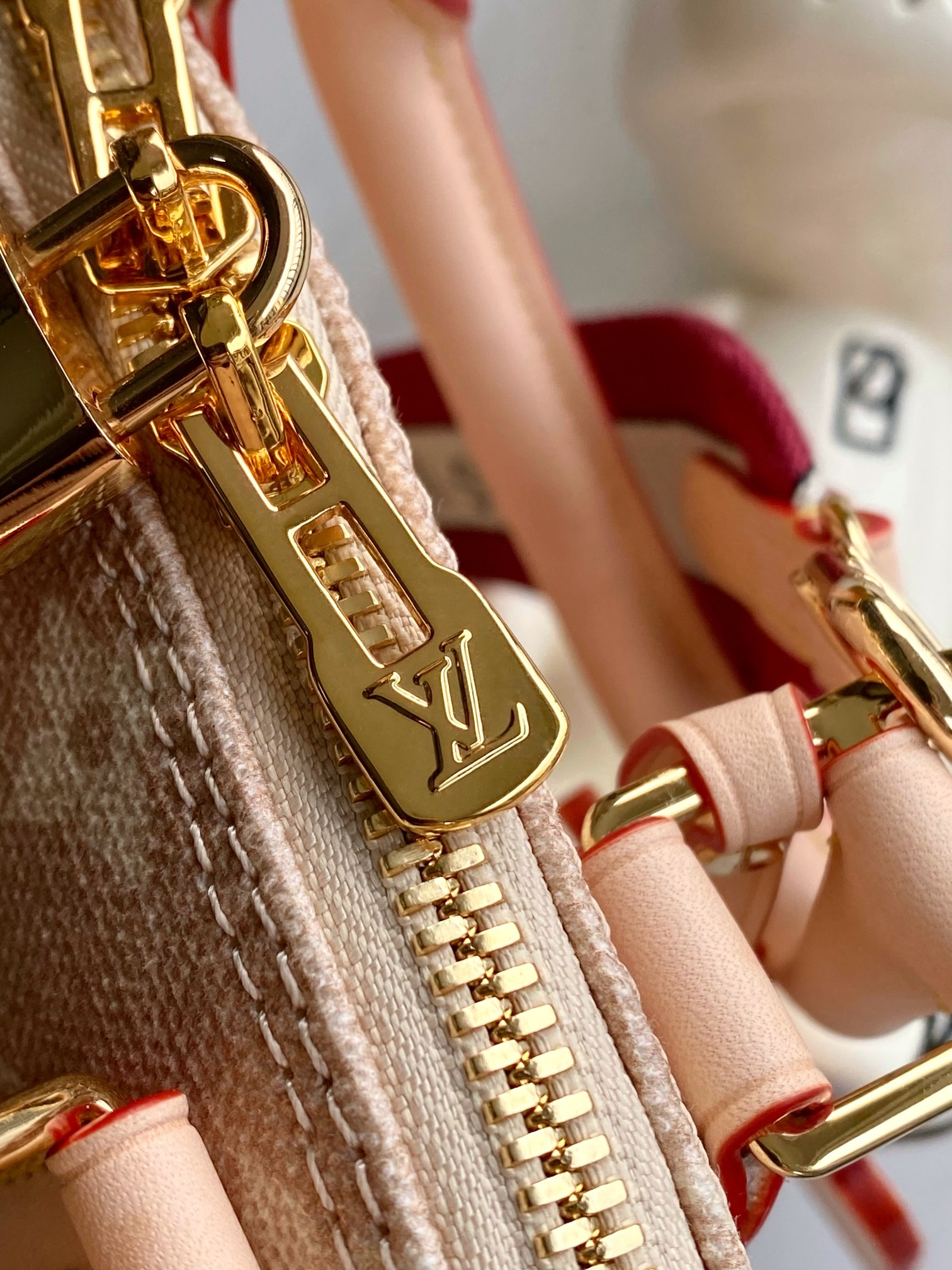 Louis Vuitton Basic Bag Cow Leather M-l-s