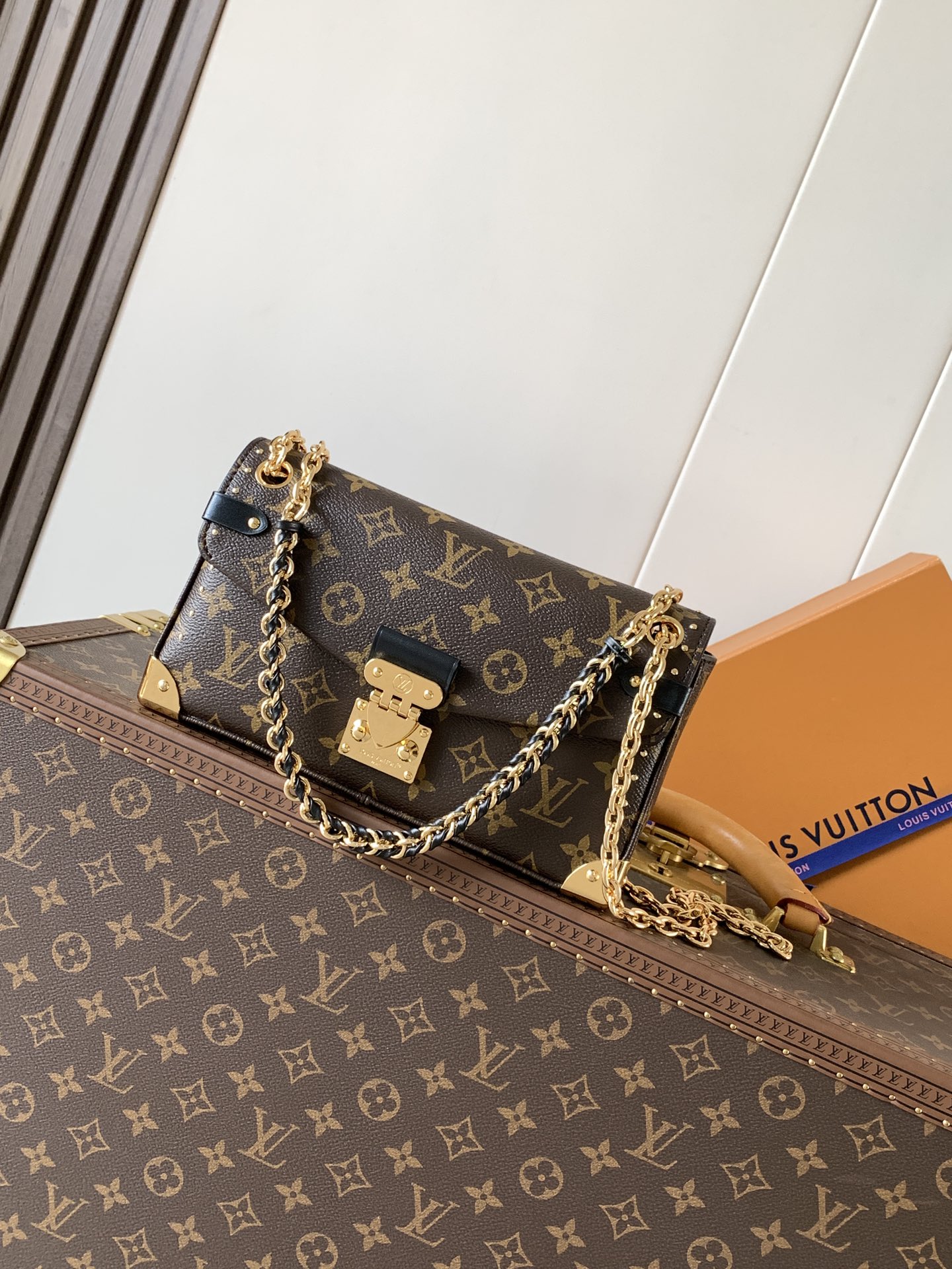 Louis Vuitton Basic Bag Cow Leather M-l-s